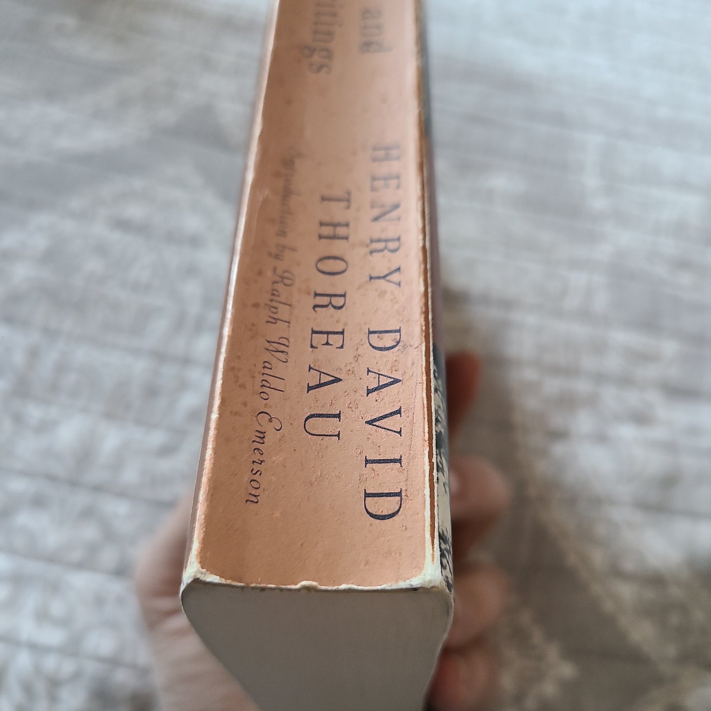 Walden and Other Writings by Hanry David Thoreau