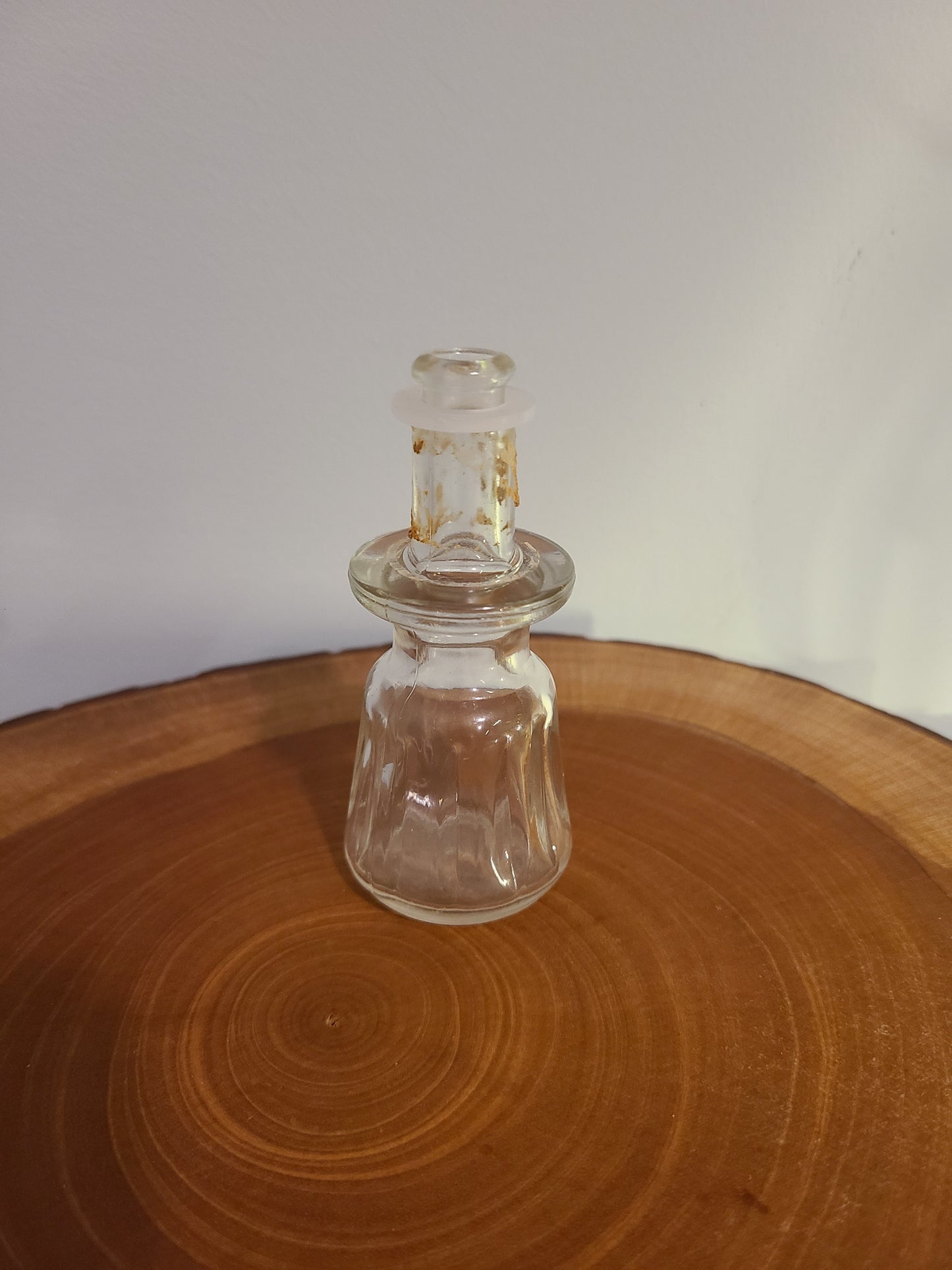Plant Base Mini