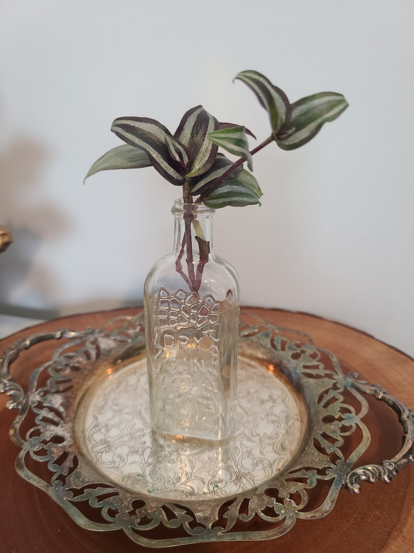 Plant Base Mini Gin Bottle w/Wandering Dude