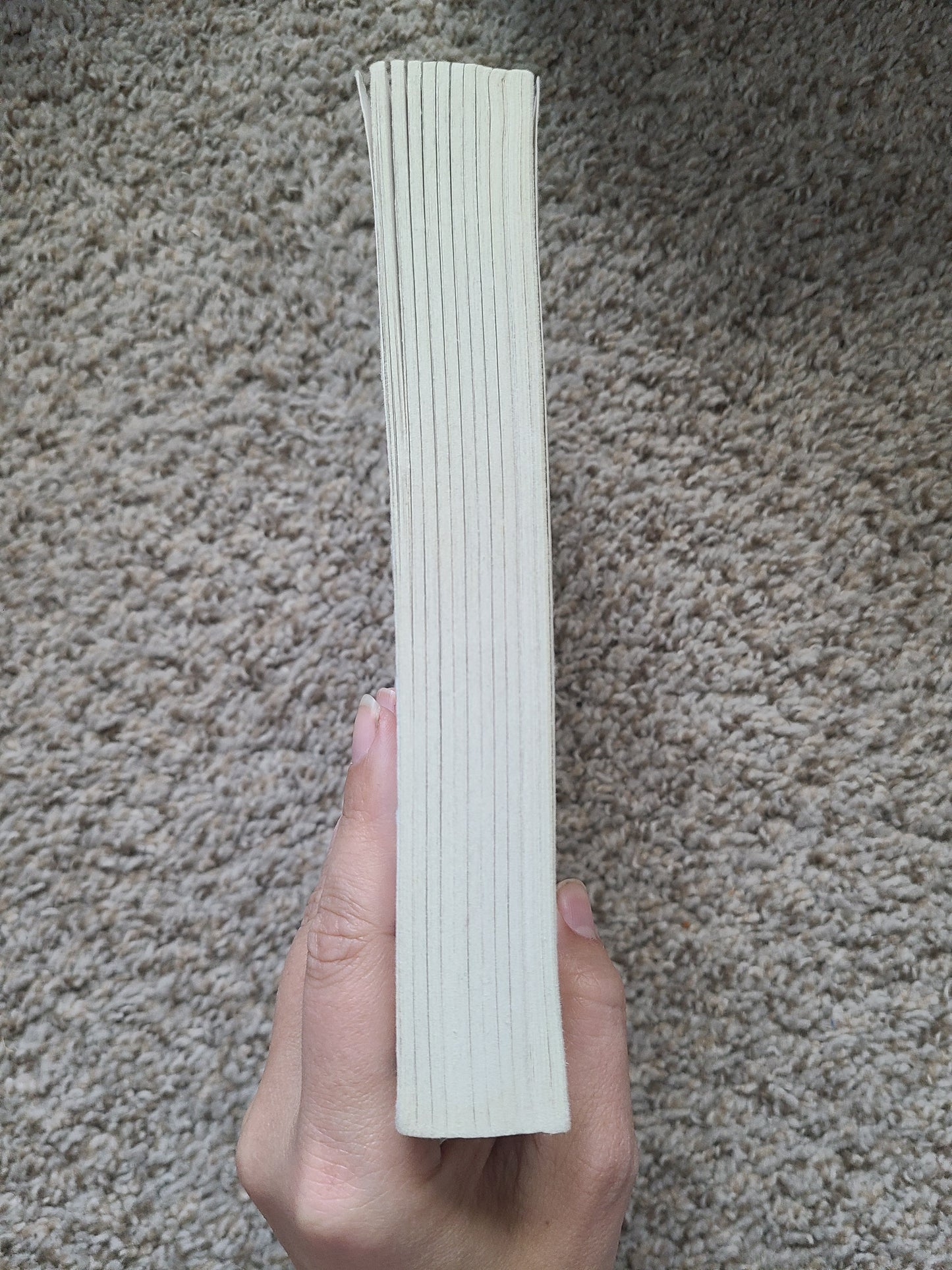 The Invisible Husband of Frederick Island by Colleen Oakley