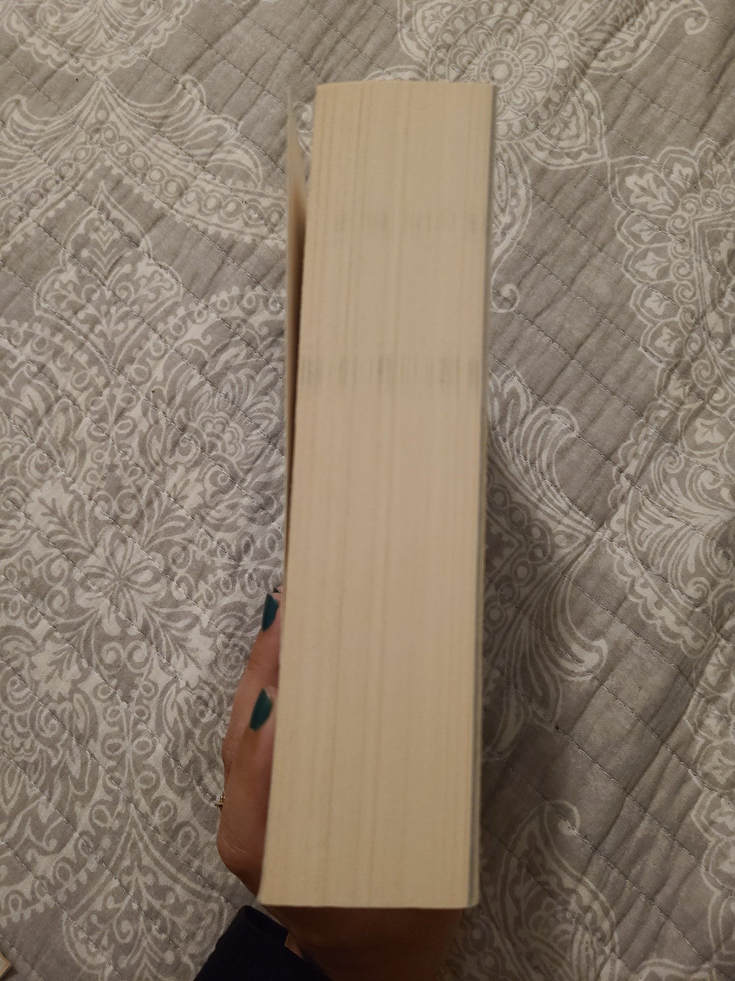 OOP A Court of Mist and Fury Paperback by Sarah J Maas
