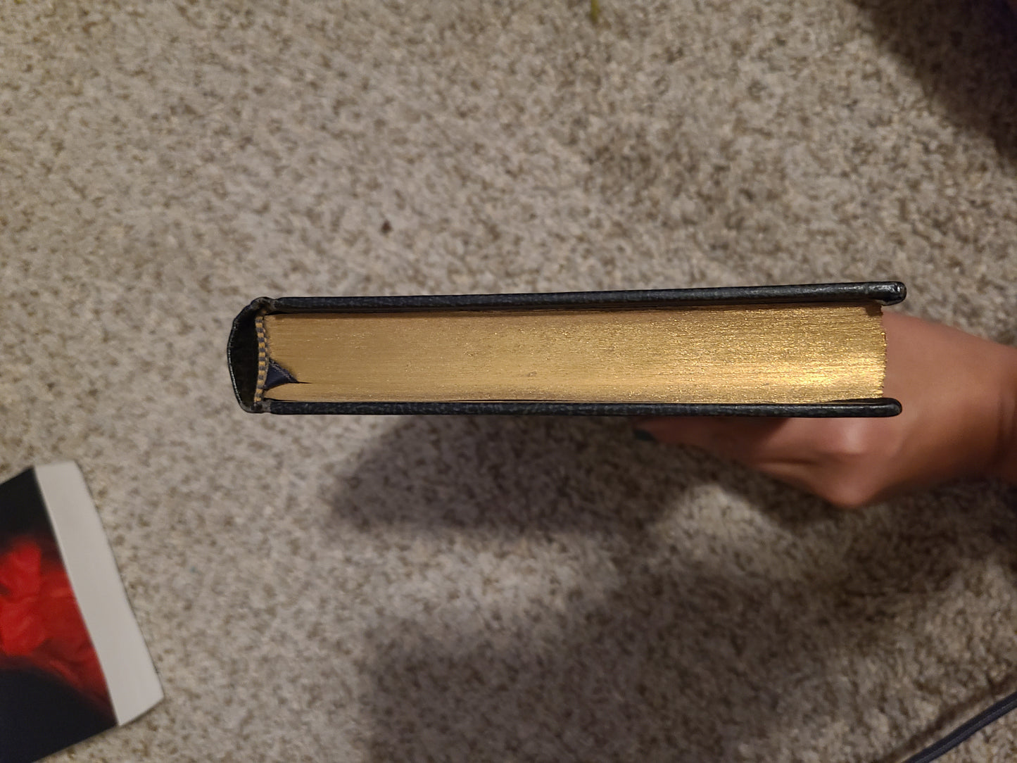 The Adventures of Huckleberry Finn by Mark Twain