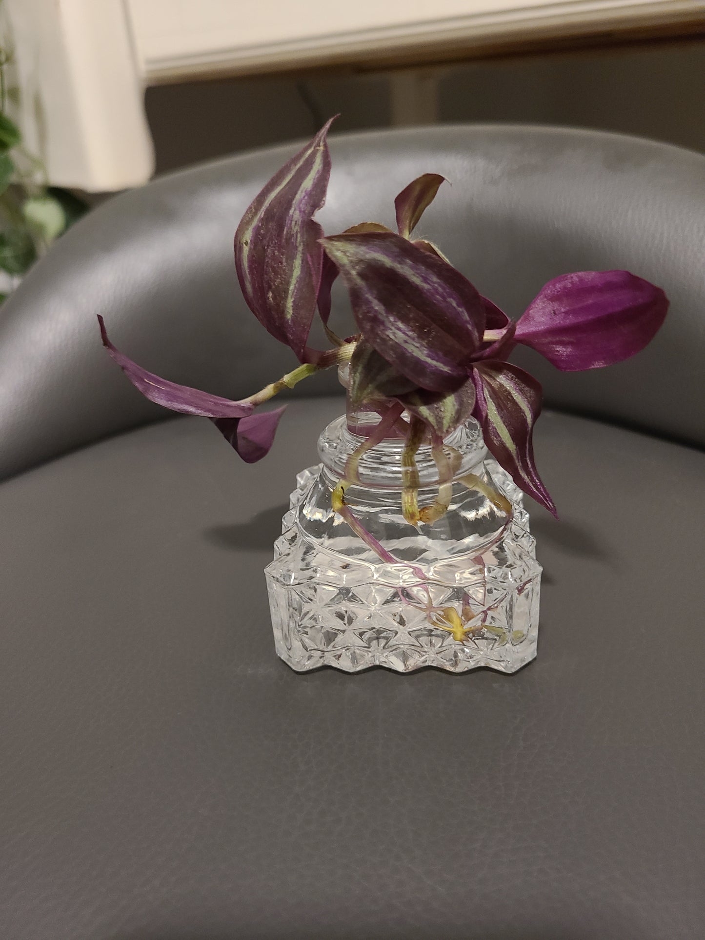Plant Base Mini Crystal