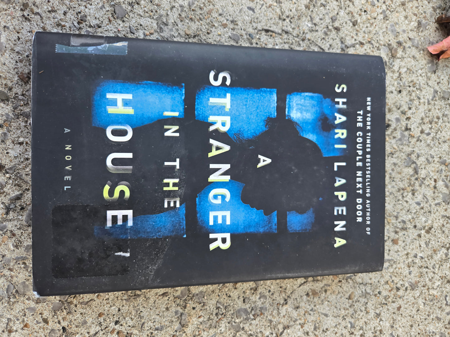 Stranger In The House by Shari Lapena