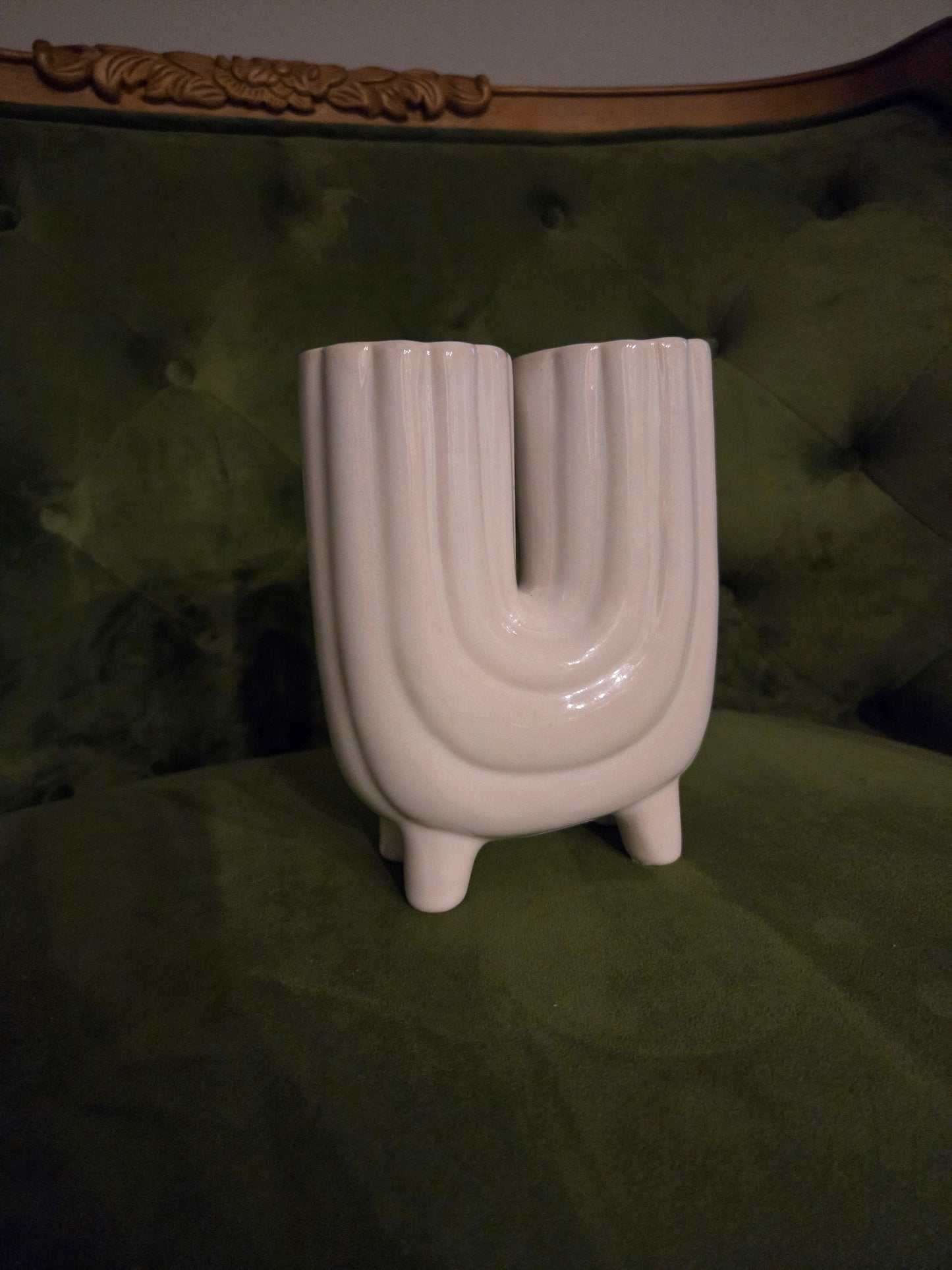 White Modern Ceramic With Prayer Plant