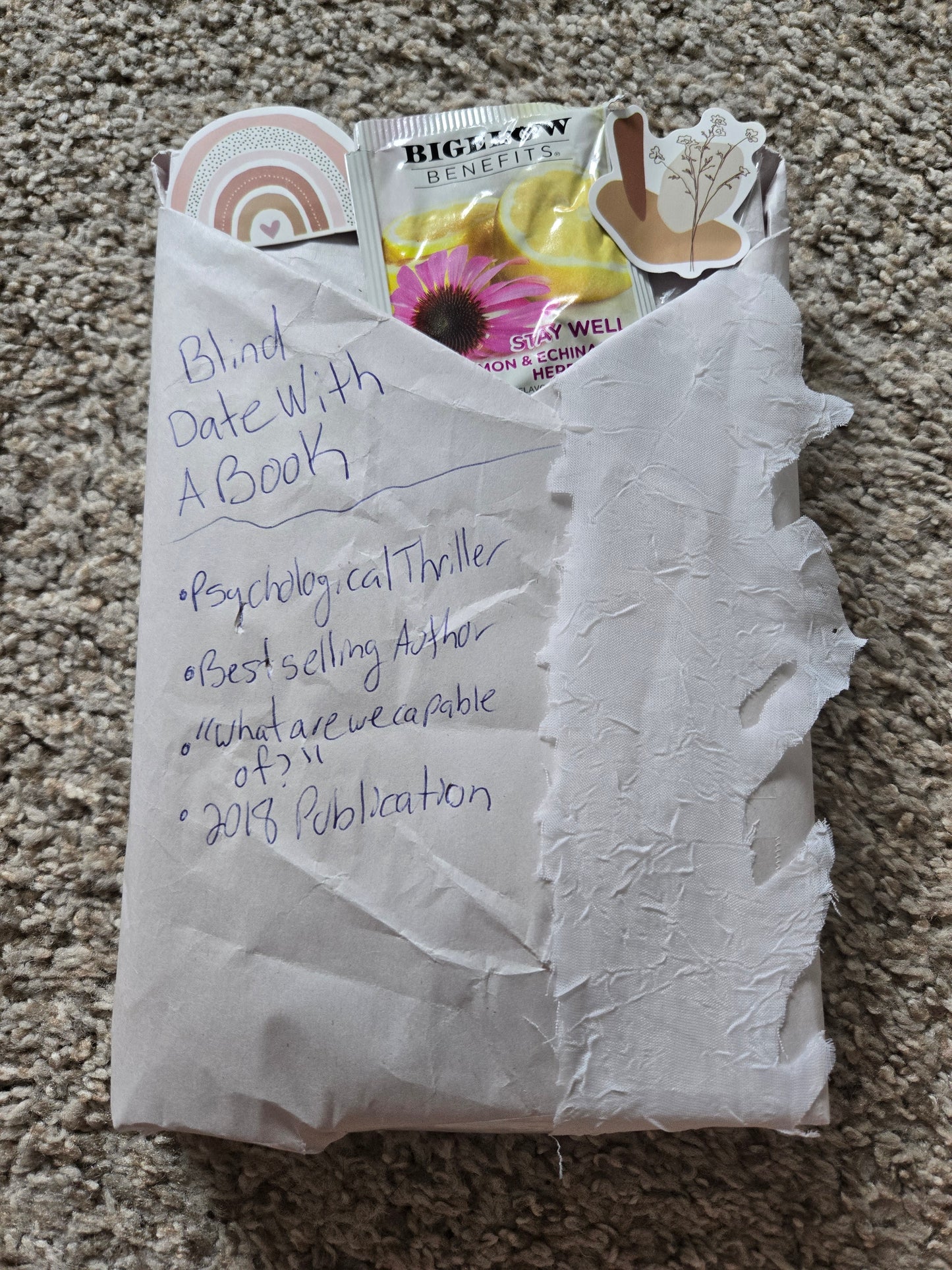 Psycological Thriller Blind Date With A Book