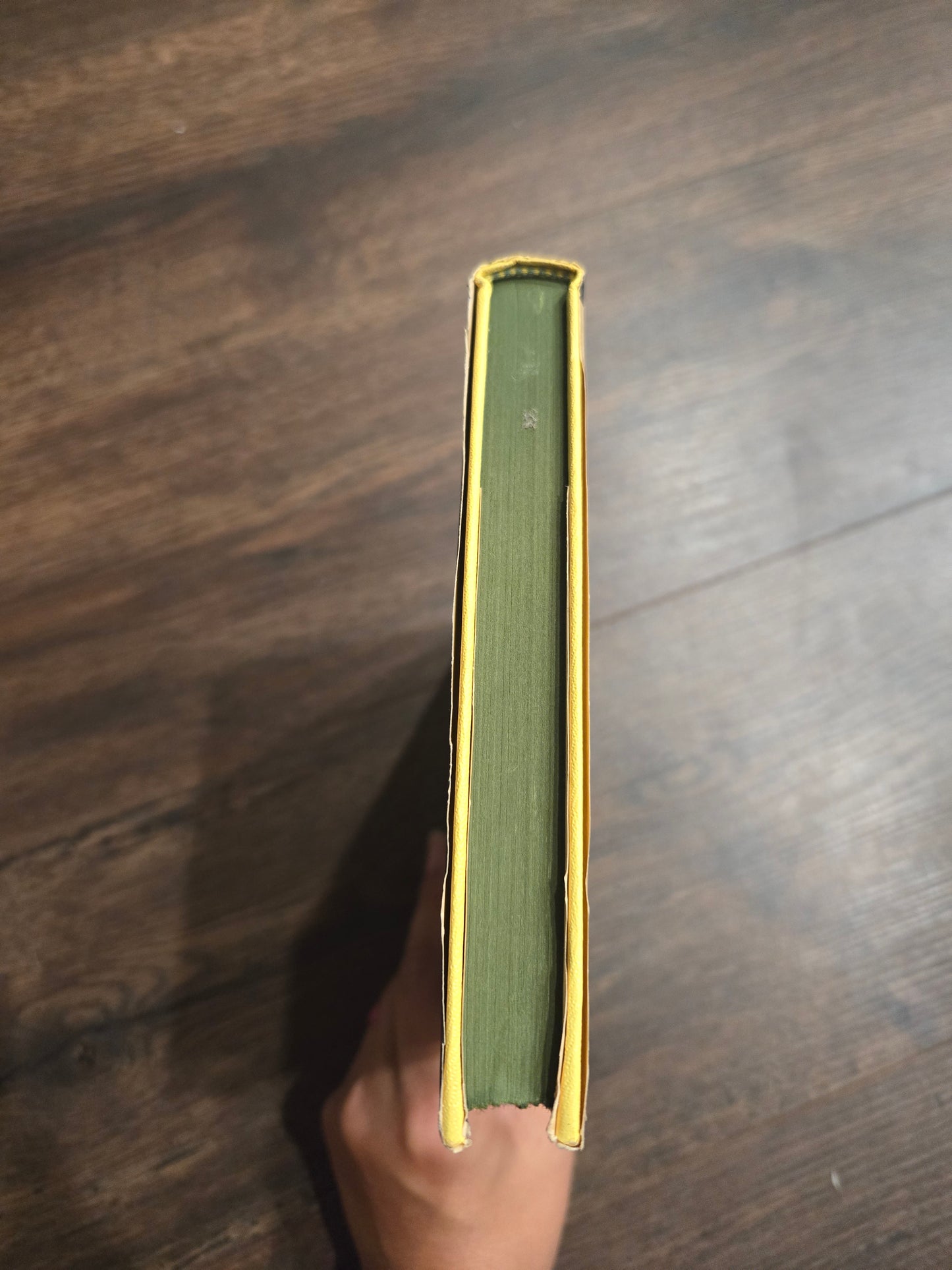 1st Edition The Tulip Tree by Howard Rigsby