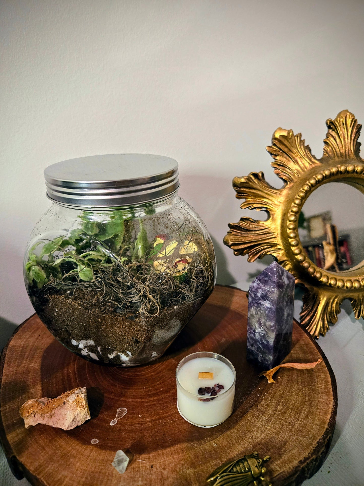 Medium Terrarium
