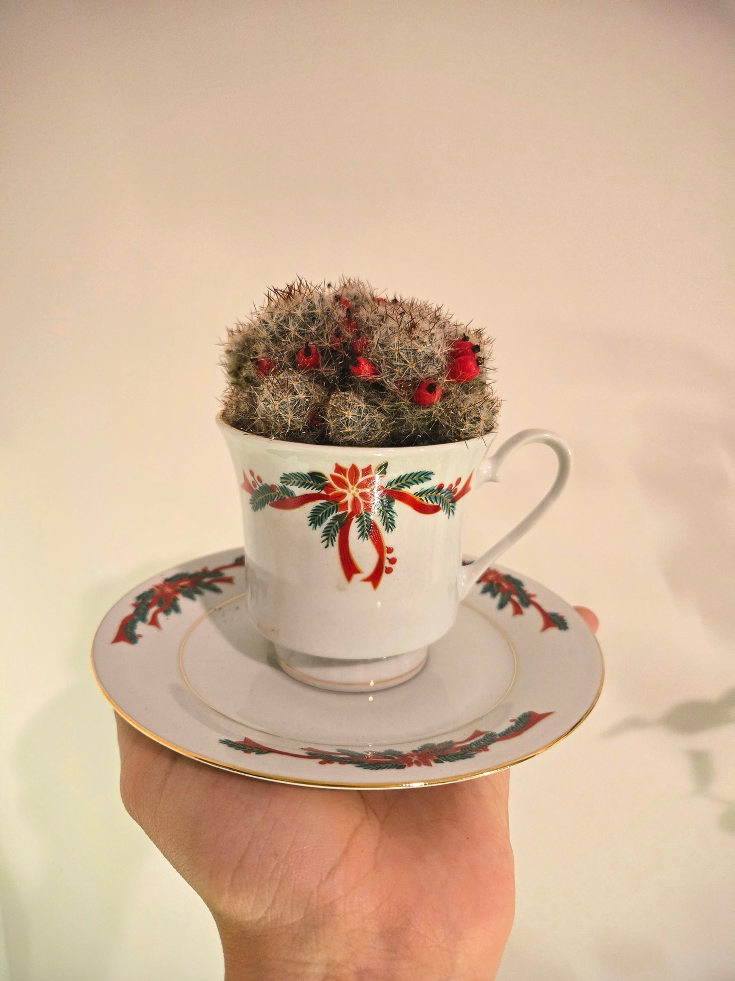 Berry Cactus Christmas Tea Cup
