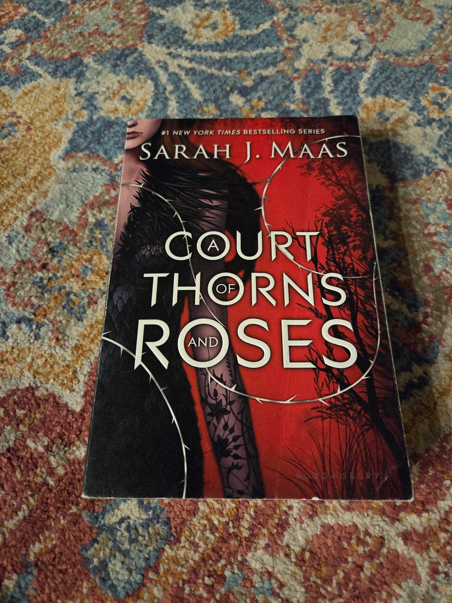 OOP A Court of Thornes and Roses