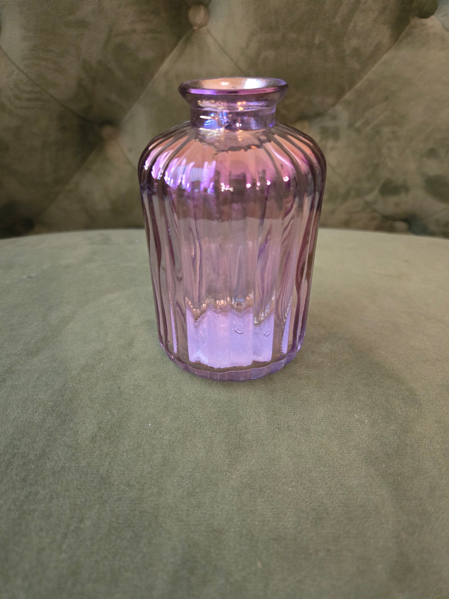 Colored Irradescent Minis (Plants will be included)