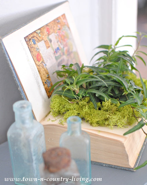 Rooted In Books: Antique Book Planter Workshop @ East Nashville Books
