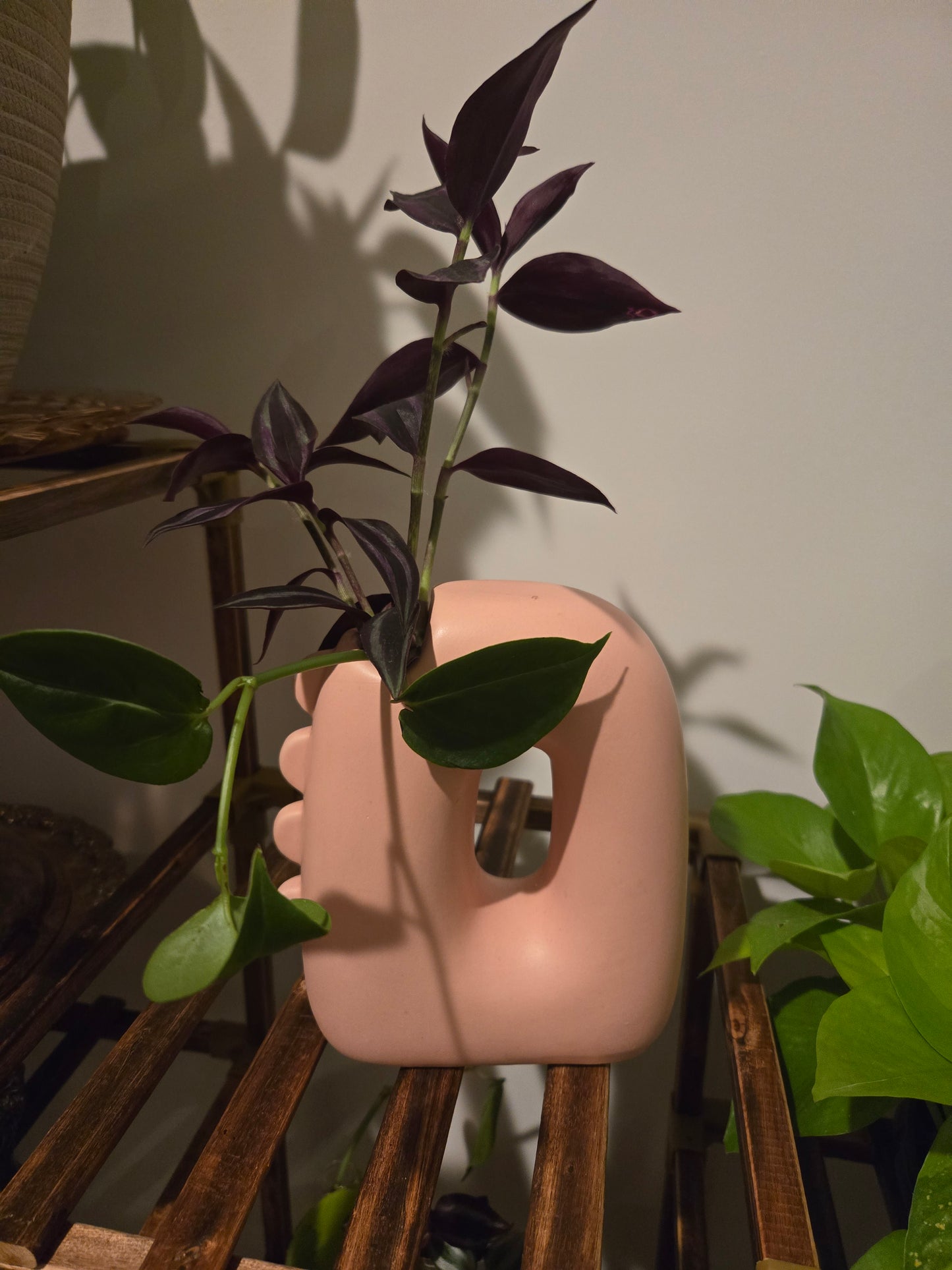 Pink Dino Arrangement