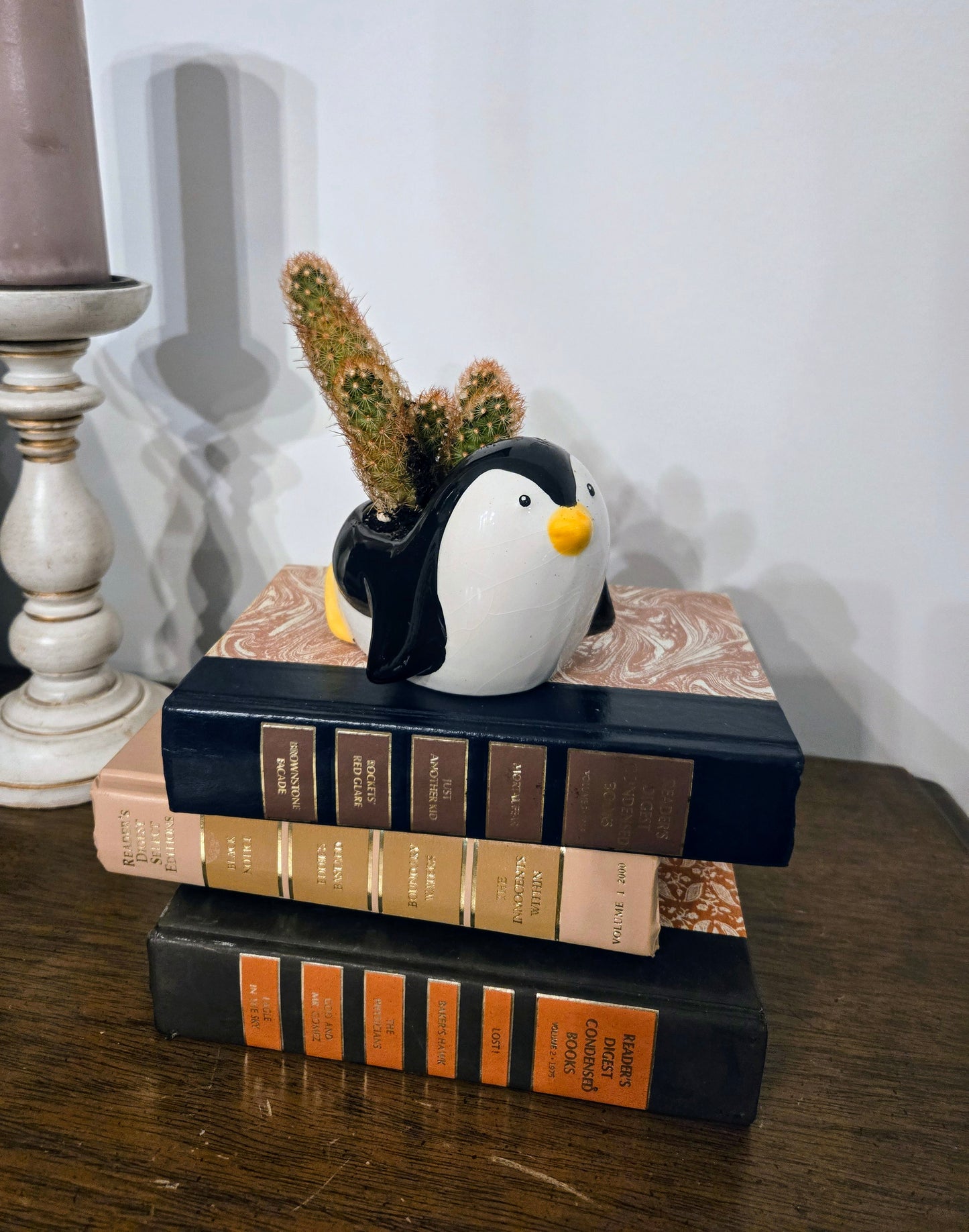 Penguin Cactus