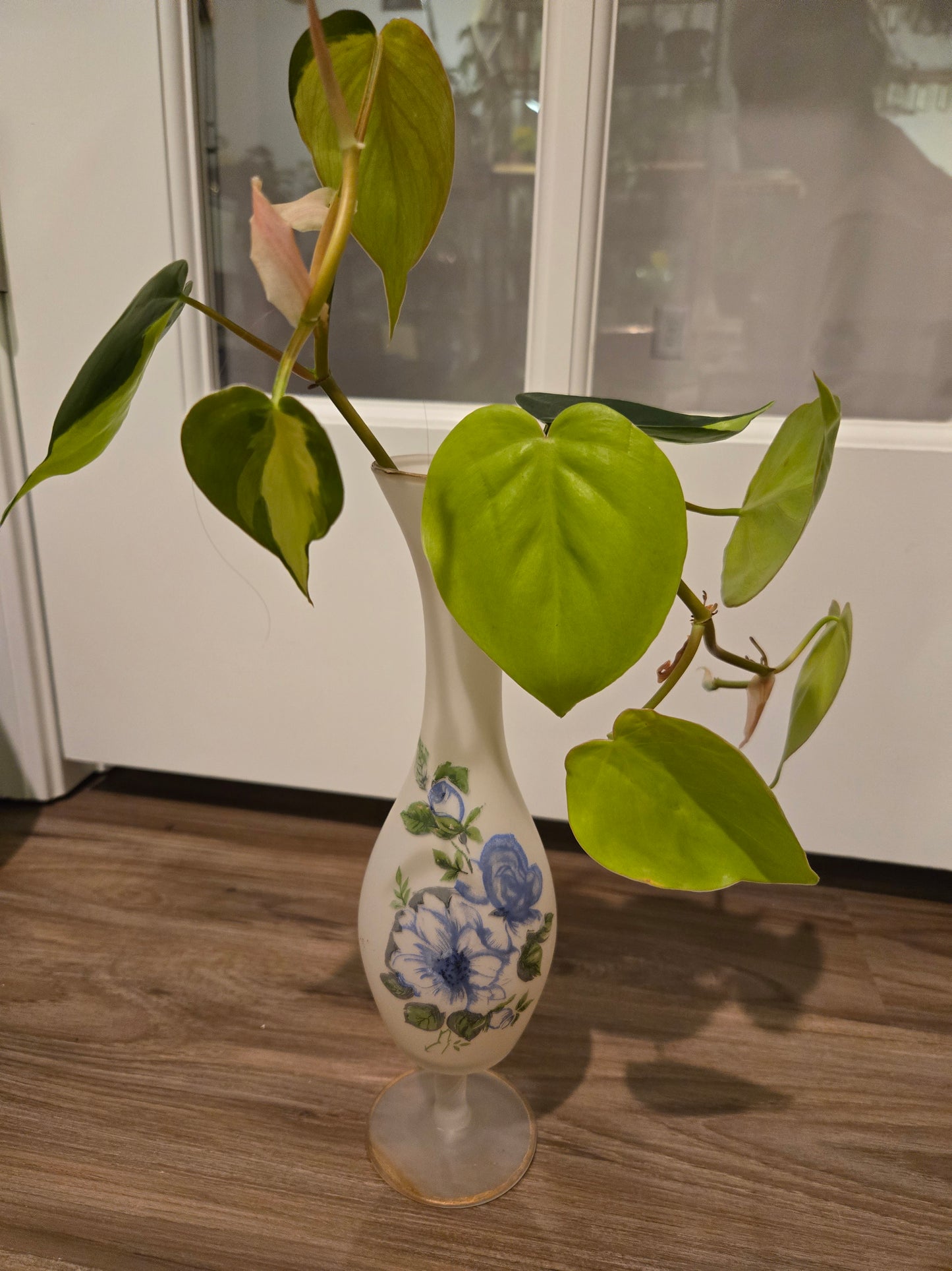 Hand Painted Frosted Vase w/ Brazil Philodendron