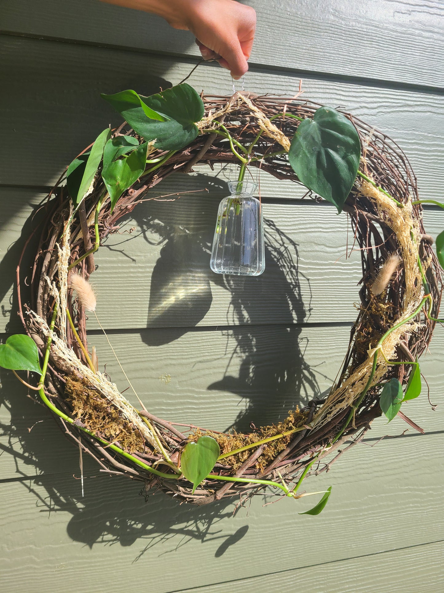 Living Wreaths with Brazil Philodendron