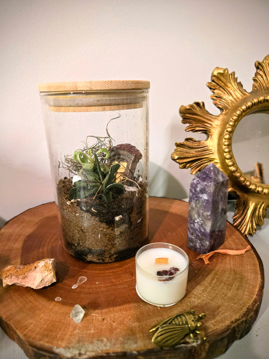 Mini Terrarium