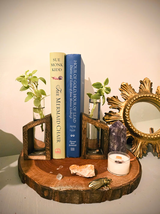 Mini Plant Propagation Bookends with Plants