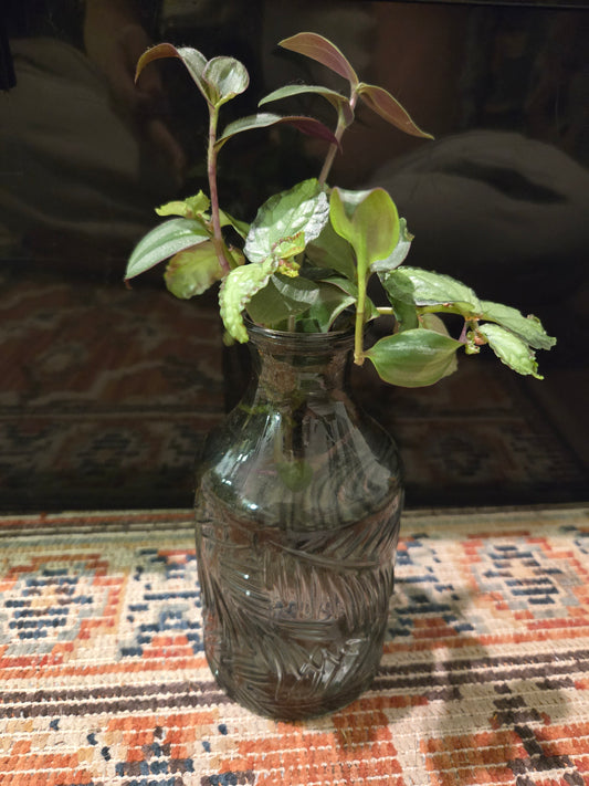 Black Small Decanter Base w/Plants