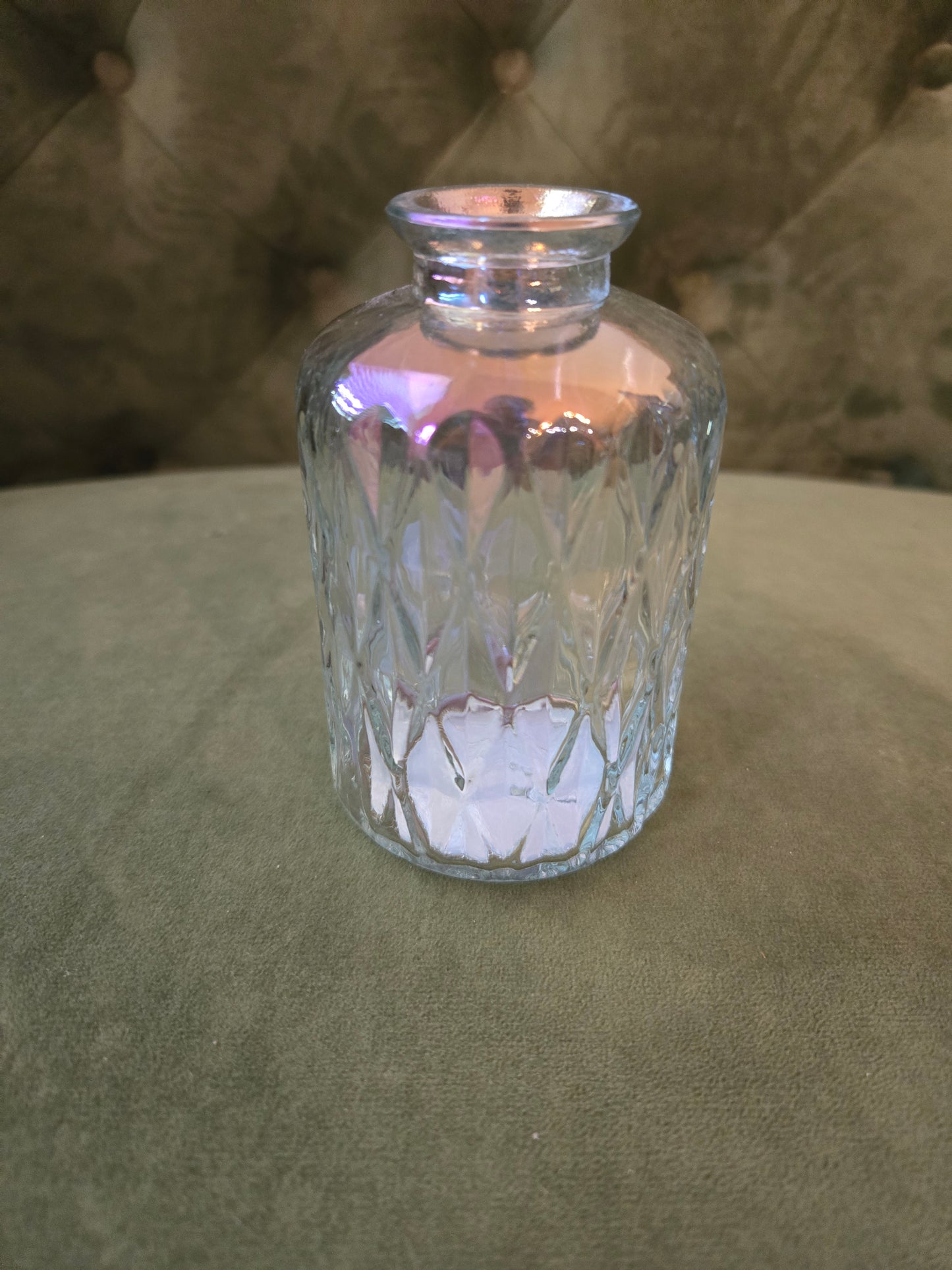 Colored Irradescent Minis (Plants will be included)