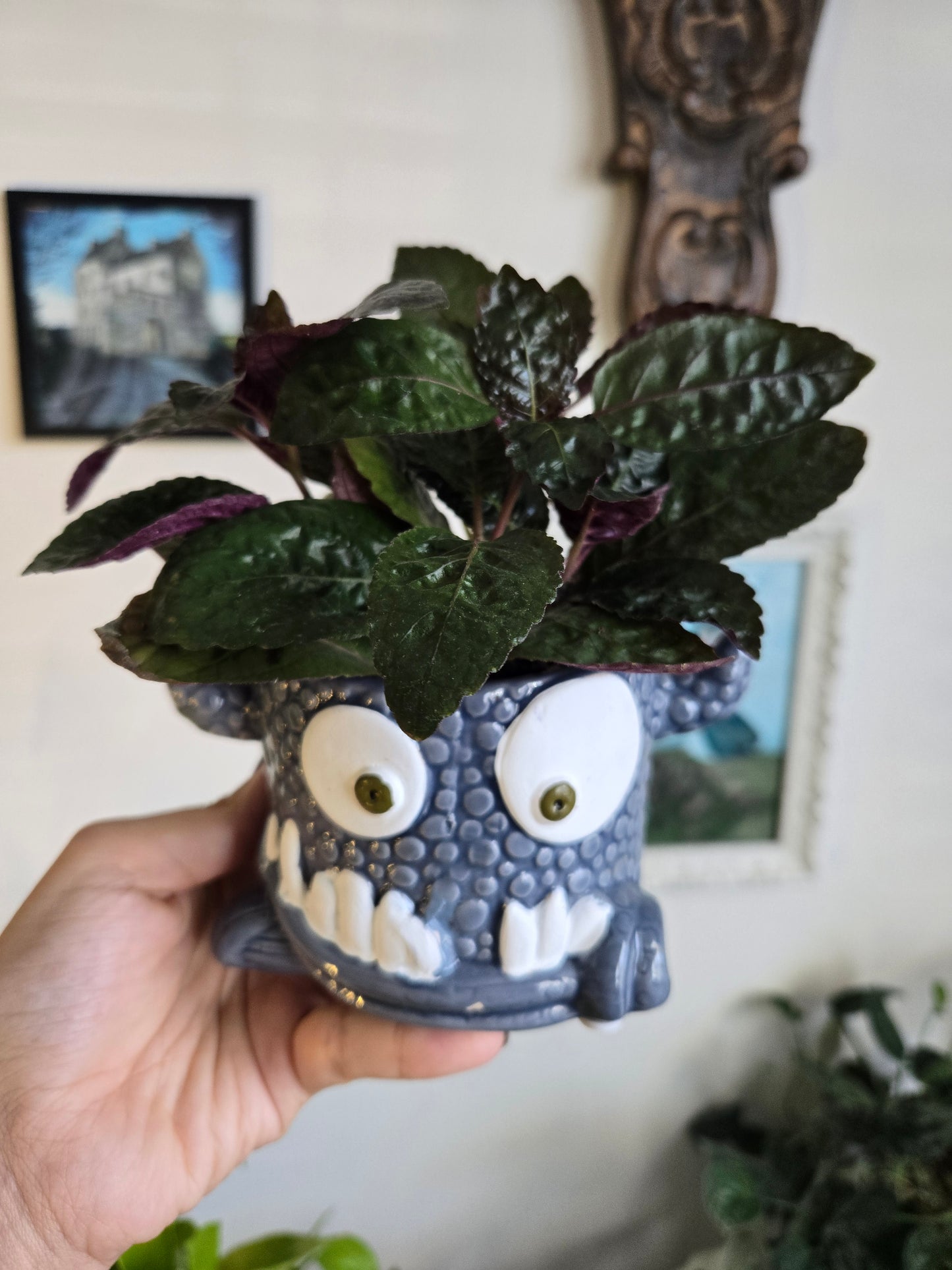 Halloween Planters w/ Plants