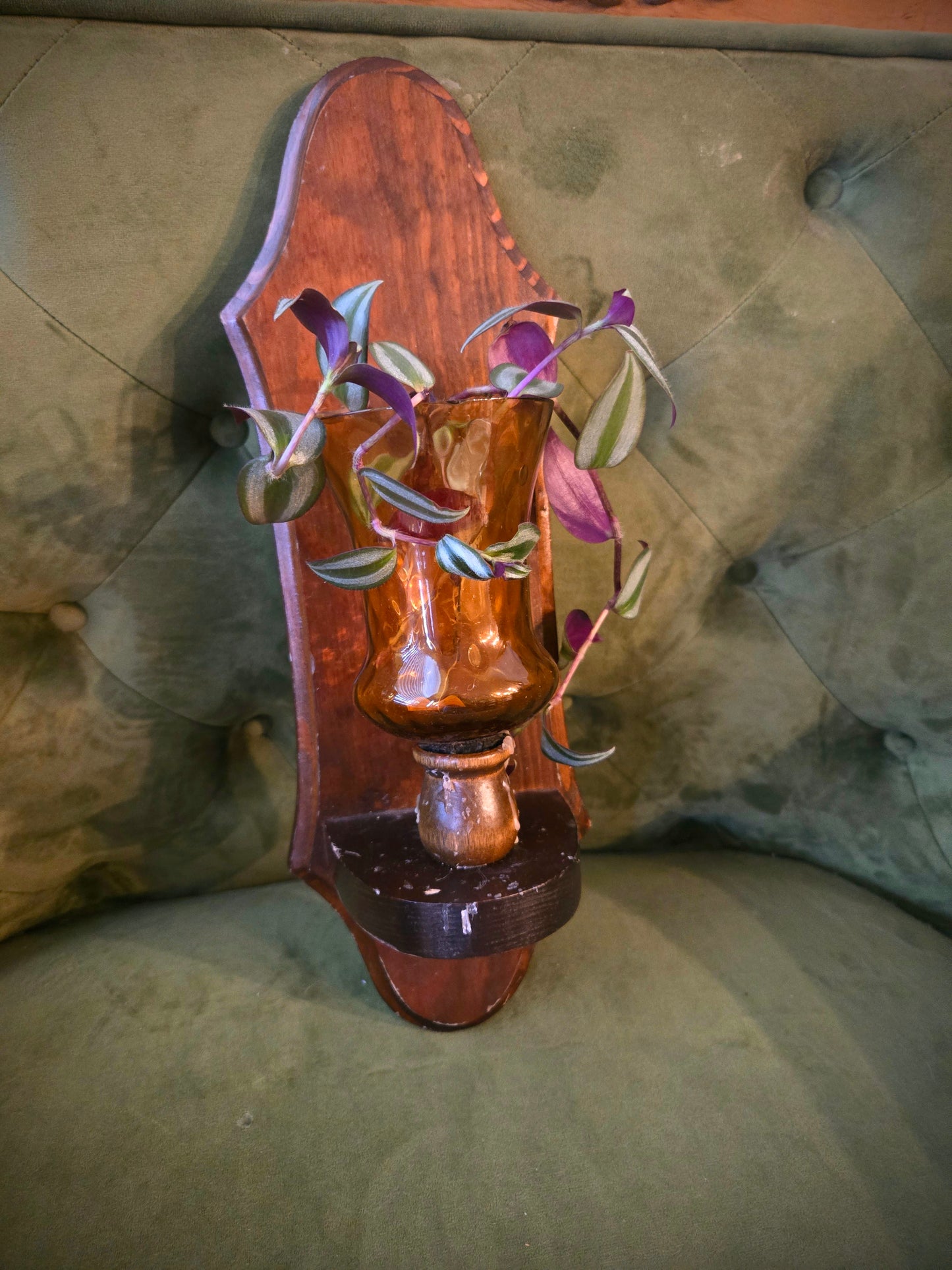 Antique Wood Wall Hanging Plant Propagation