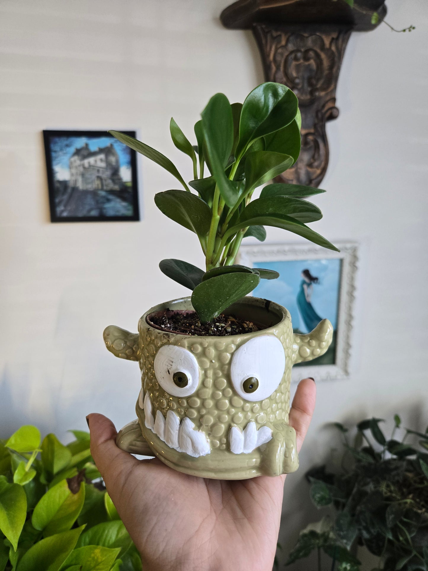 Halloween Planters w/ Plants