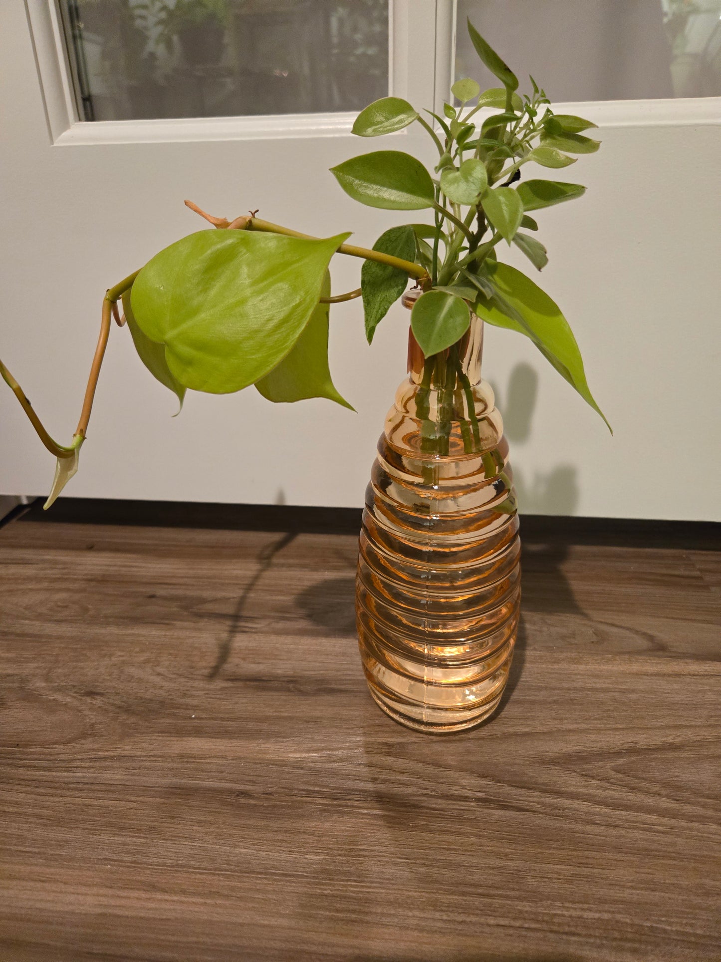Orange Vase Arrangement