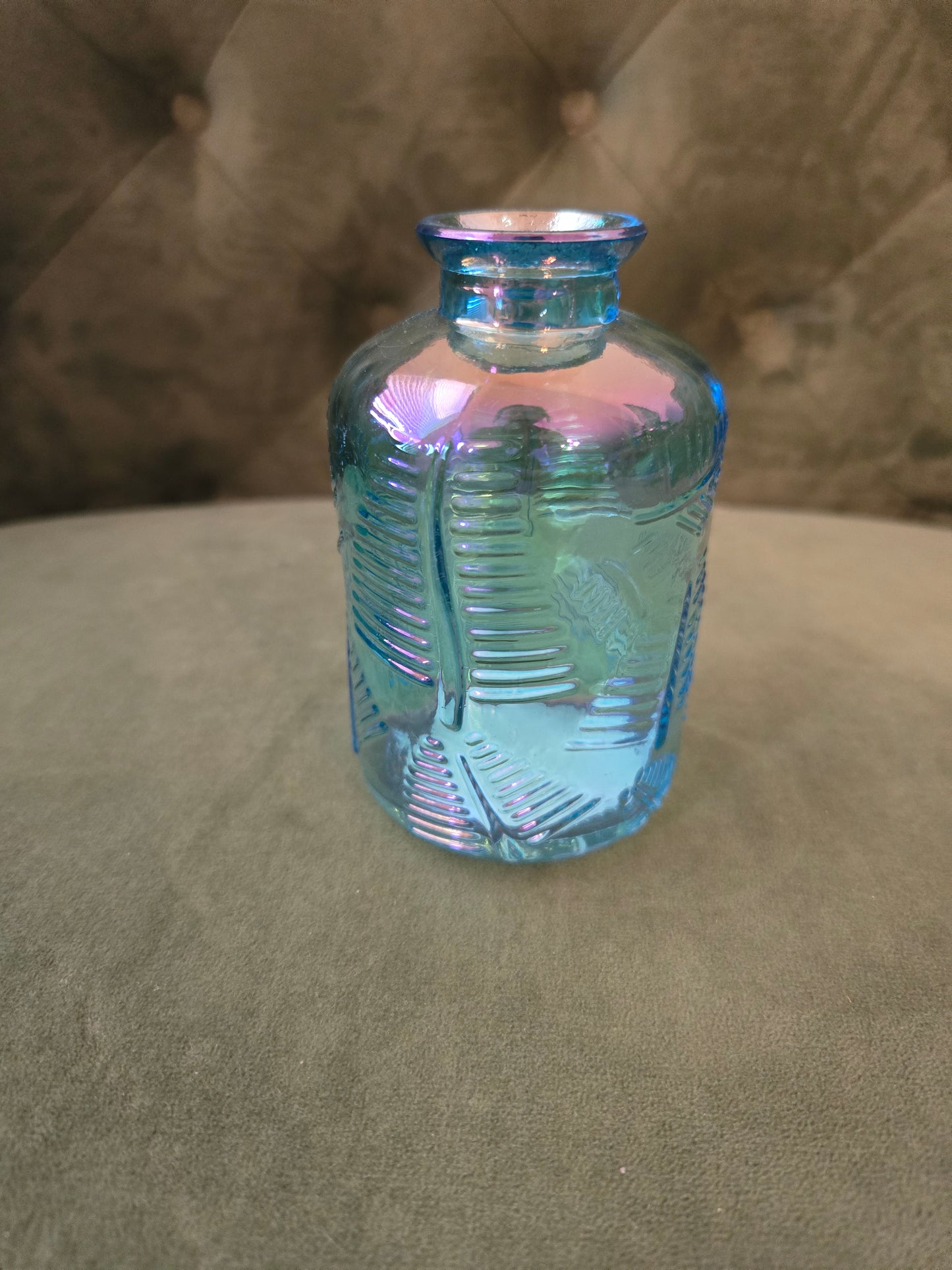 Colored Irradescent Minis (Plants will be included)