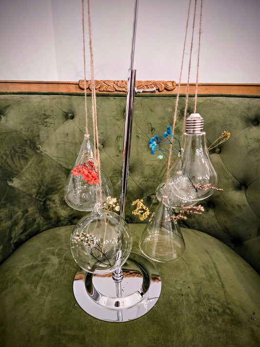 Hanging Propagation Sphere w/Plants