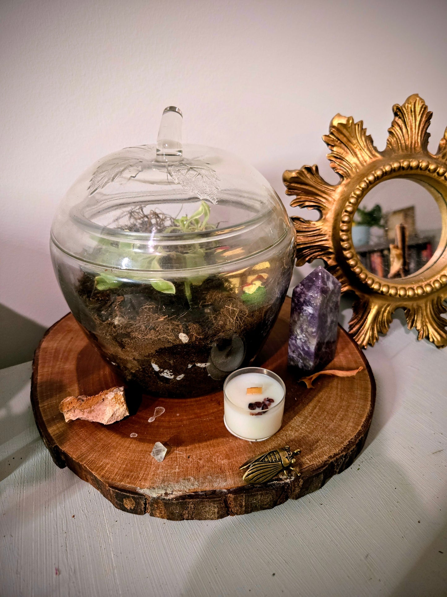 Large Apple Shaped Terrarium