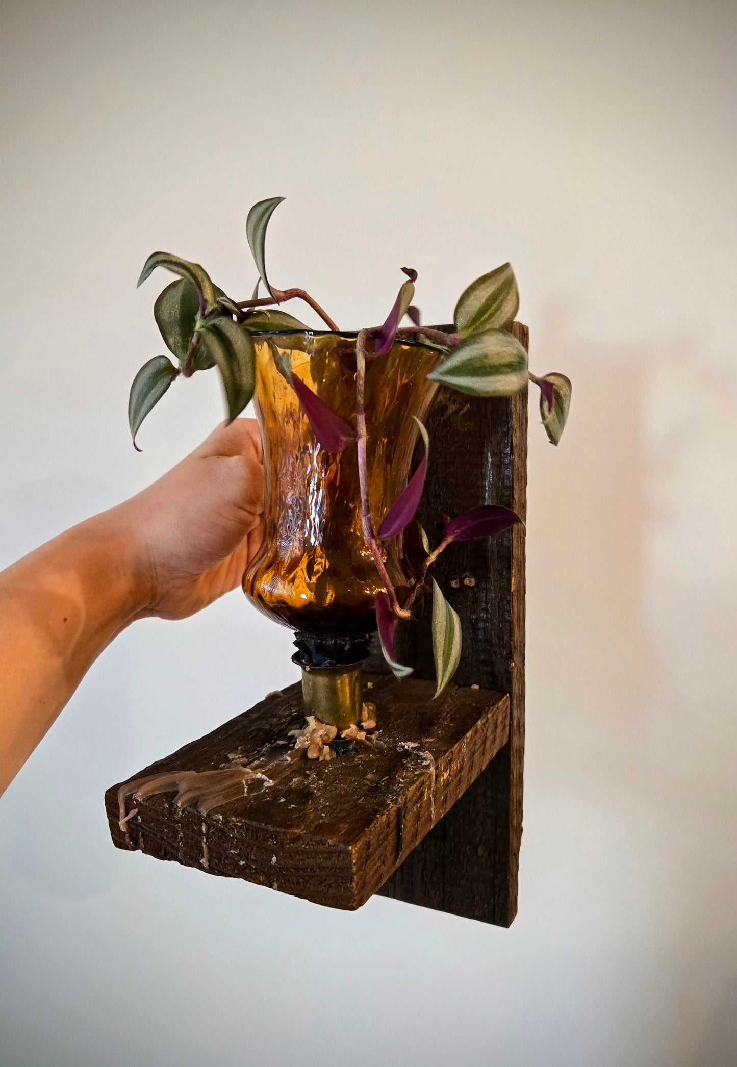 Antique Wood Wall Hanging Plant Propagation