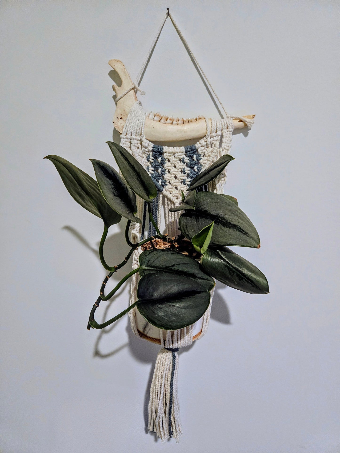 Deer Mandable Macrame