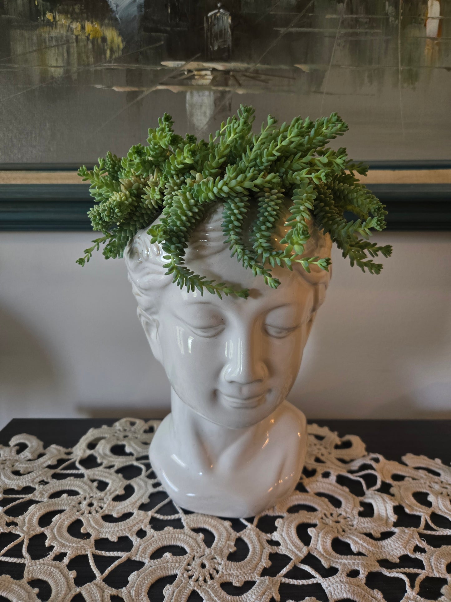 Large Succulent Bust Arrangement