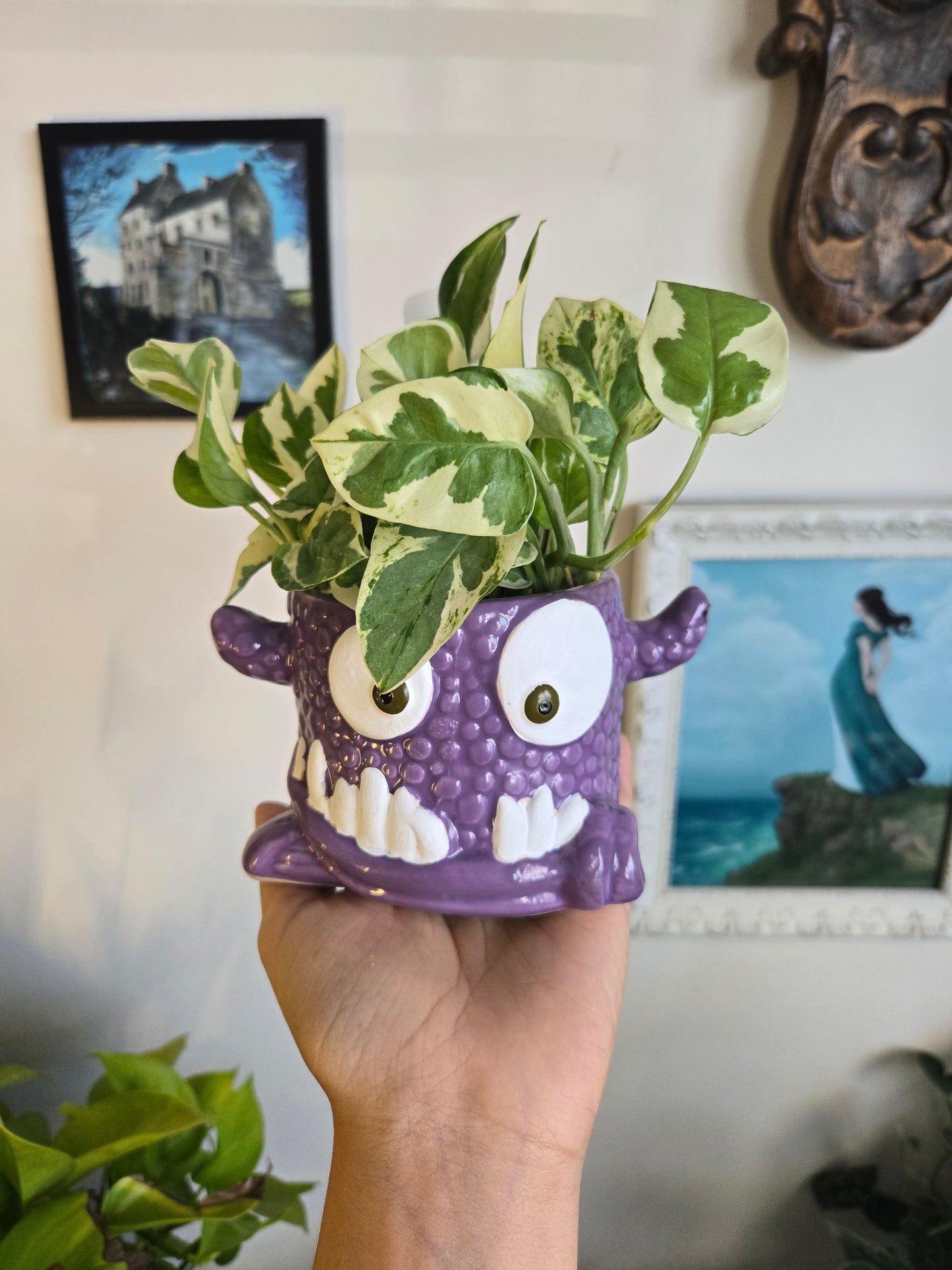 Halloween Planters w/ Plants
