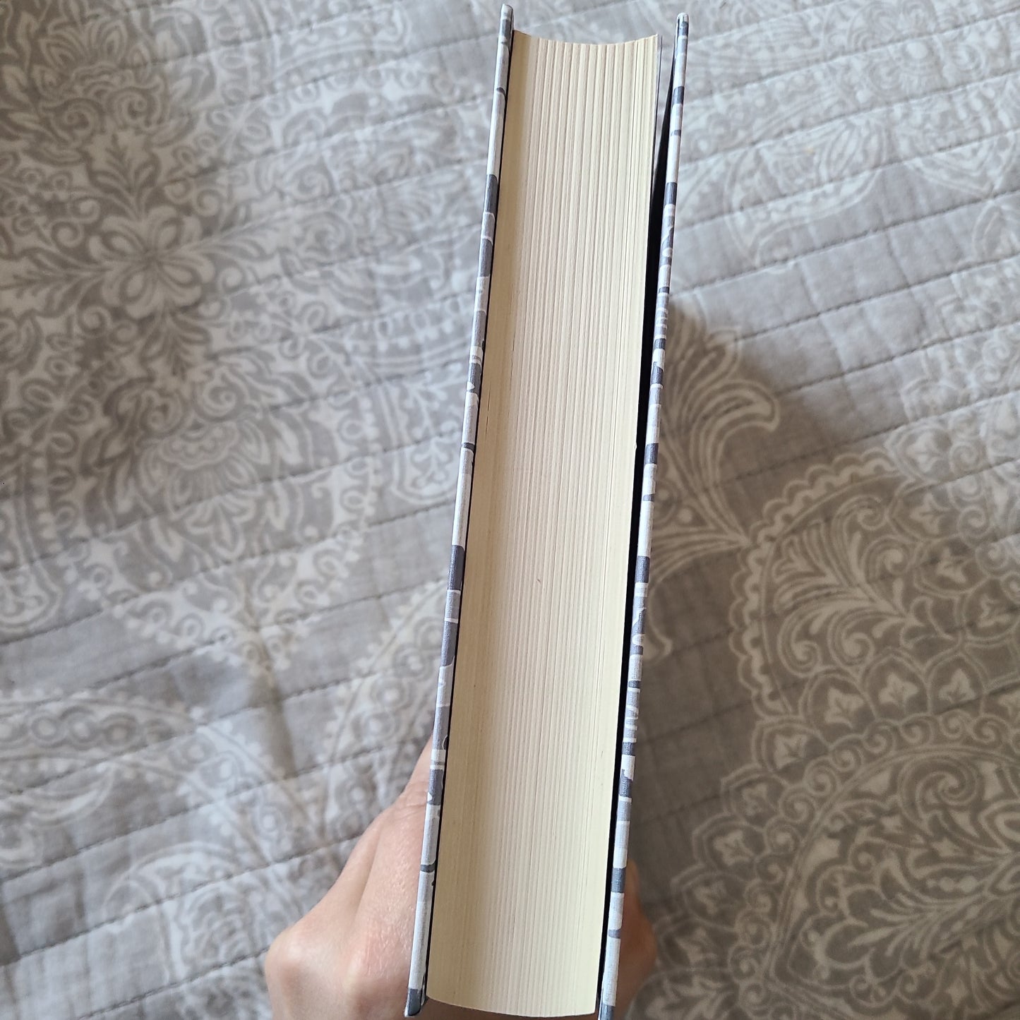 The Things They Carried and In The Lake of The Woods by Tim O'Brian