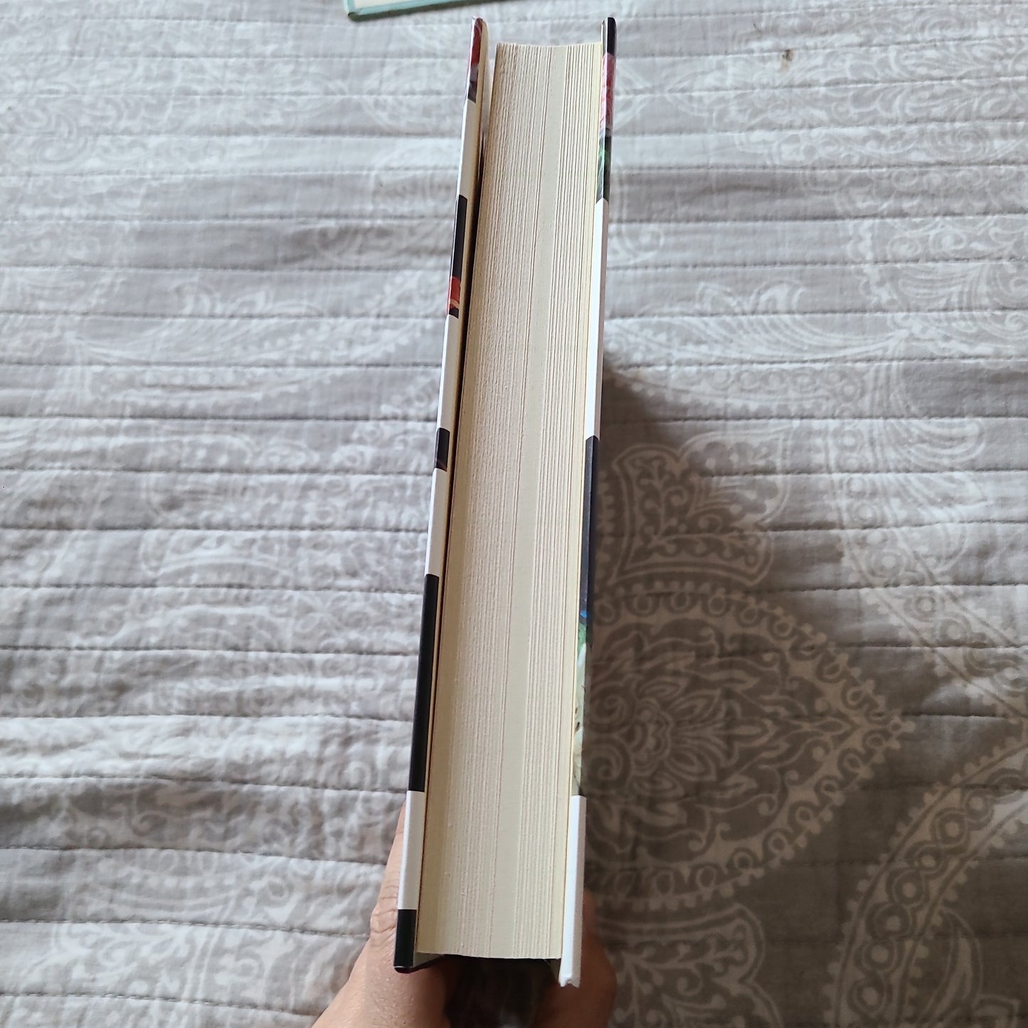 The Nine Lives of Rose Napolitano by Donna Freitas