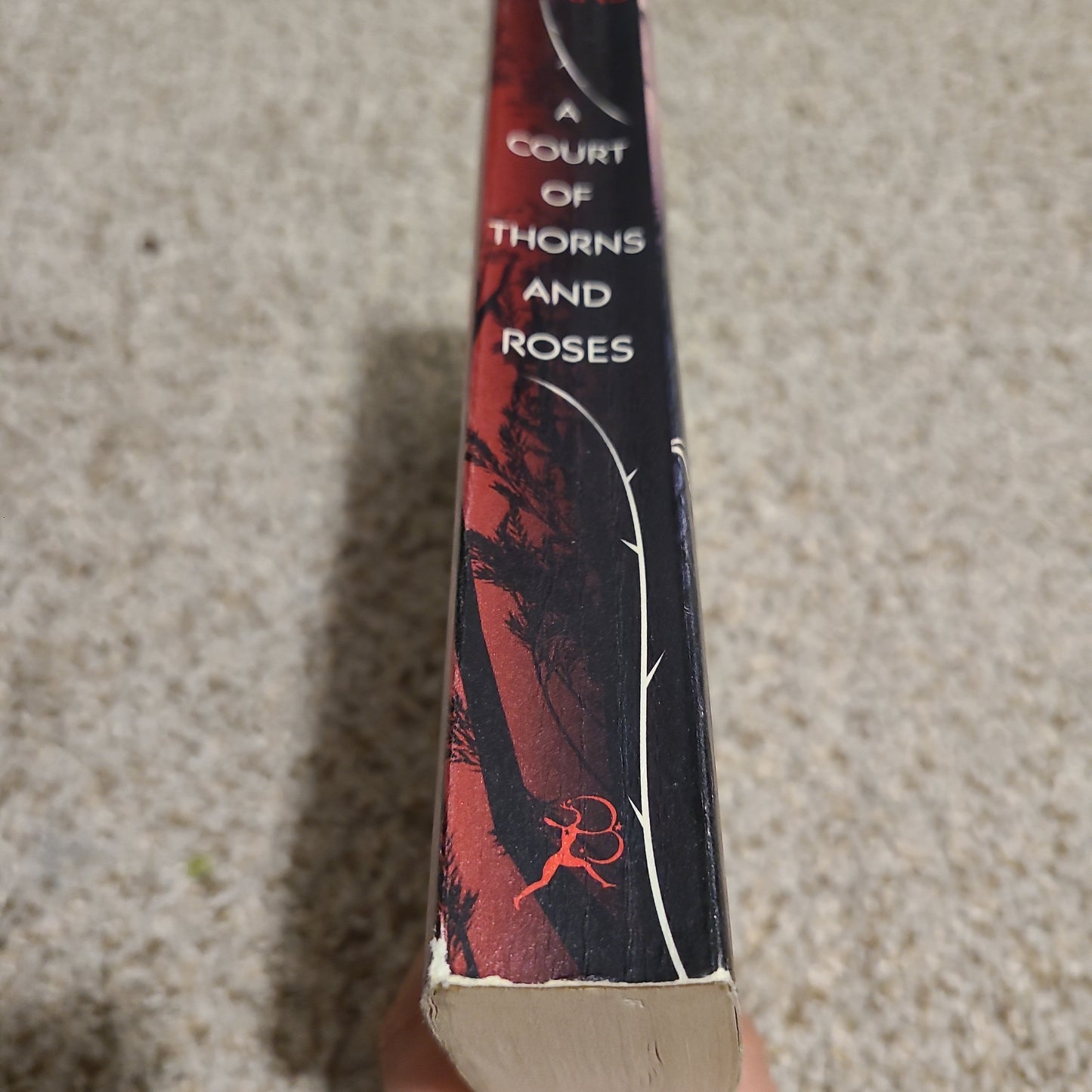 OOP A Court of Thorns and Roses Paperback by Sarah J Maas