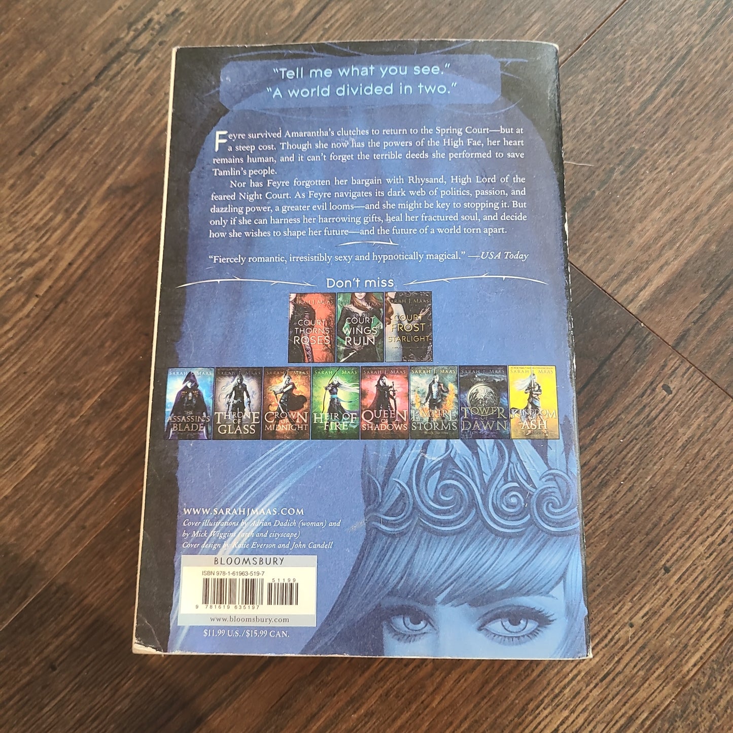 OOP A Court of Mist and Fury Paperback by Sarah J Maas
