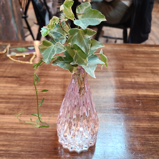 Pink Crystal Base with Ivy