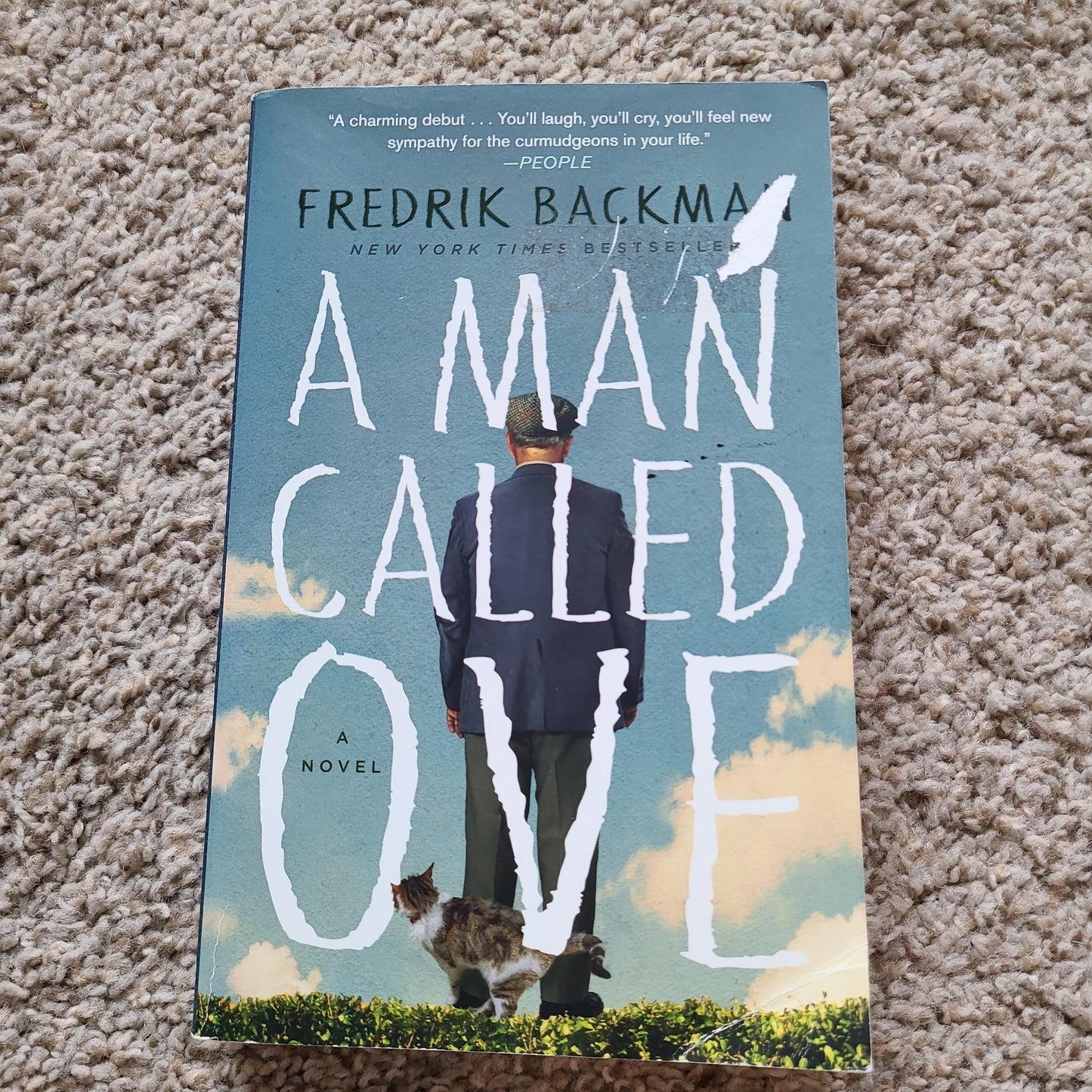 A Man Called Ove by Fredrik Backman
