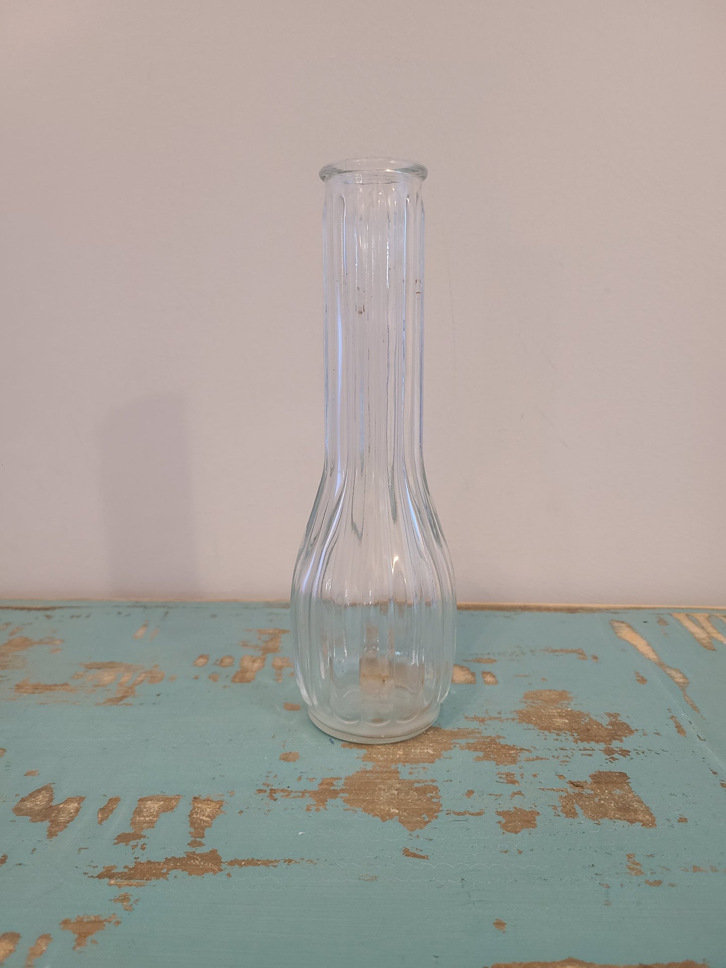 Plant Base Small Clear