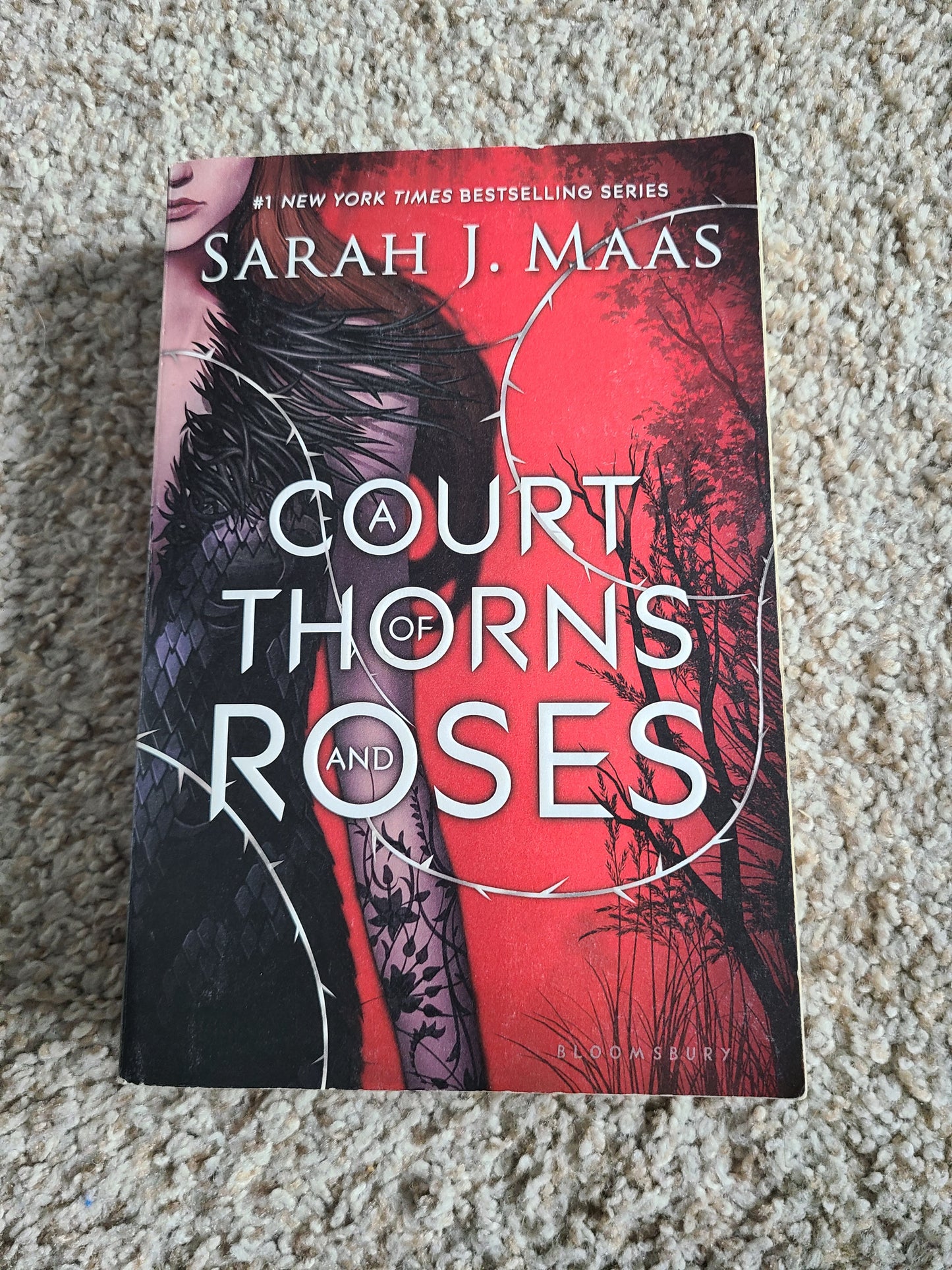 OOP A Court of Thorns and Roses Paperback by Sarah J Maas