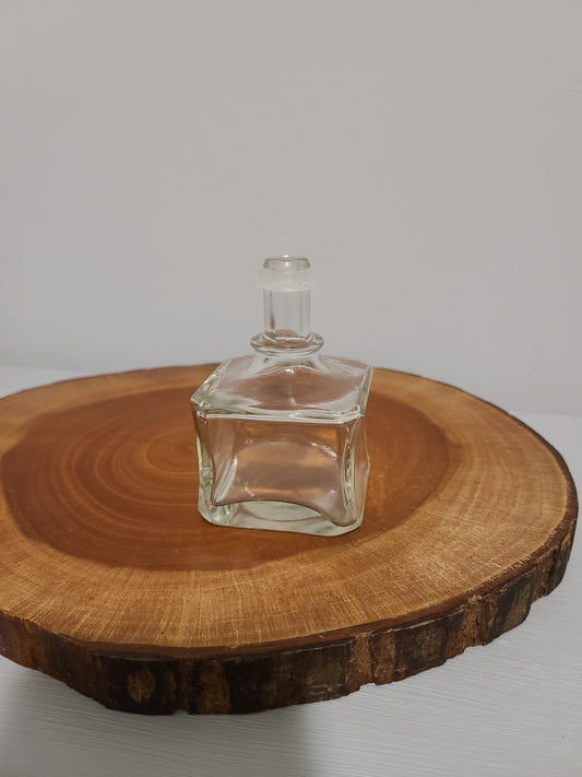 Plant Base Mini