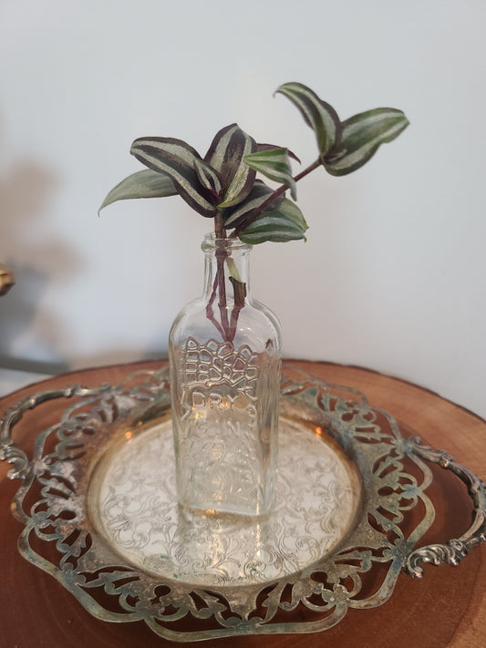 Plant Base Mini Gin Bottle w/Wandering Dude