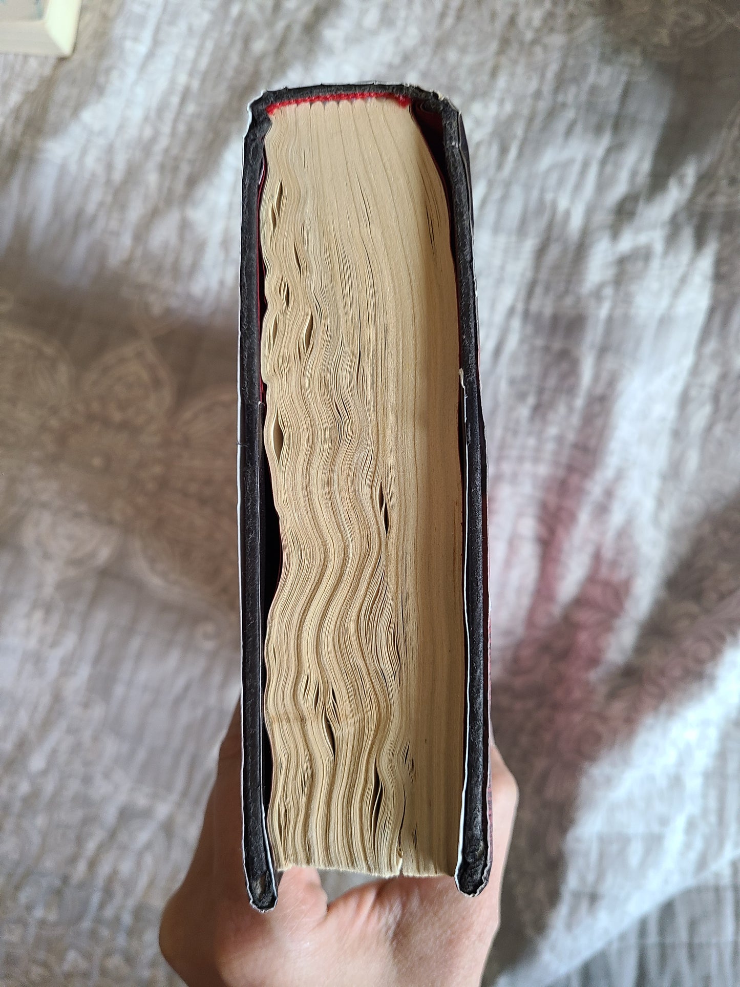 A Court of Thorns and Roses OOP Hardback by Sarah J Maas