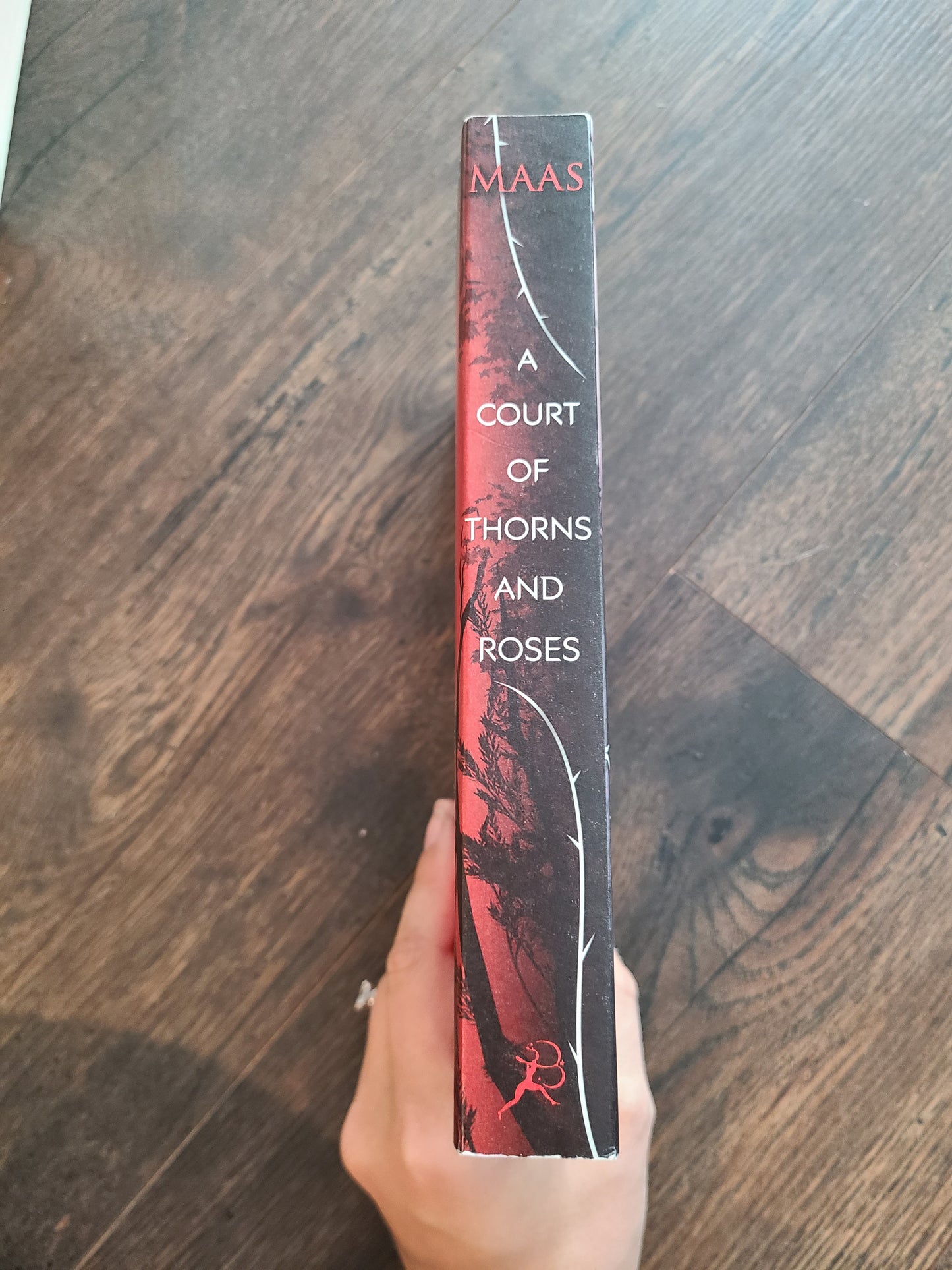 OOP A Court of Thorns and Roses Paperback by Sarah J Maas