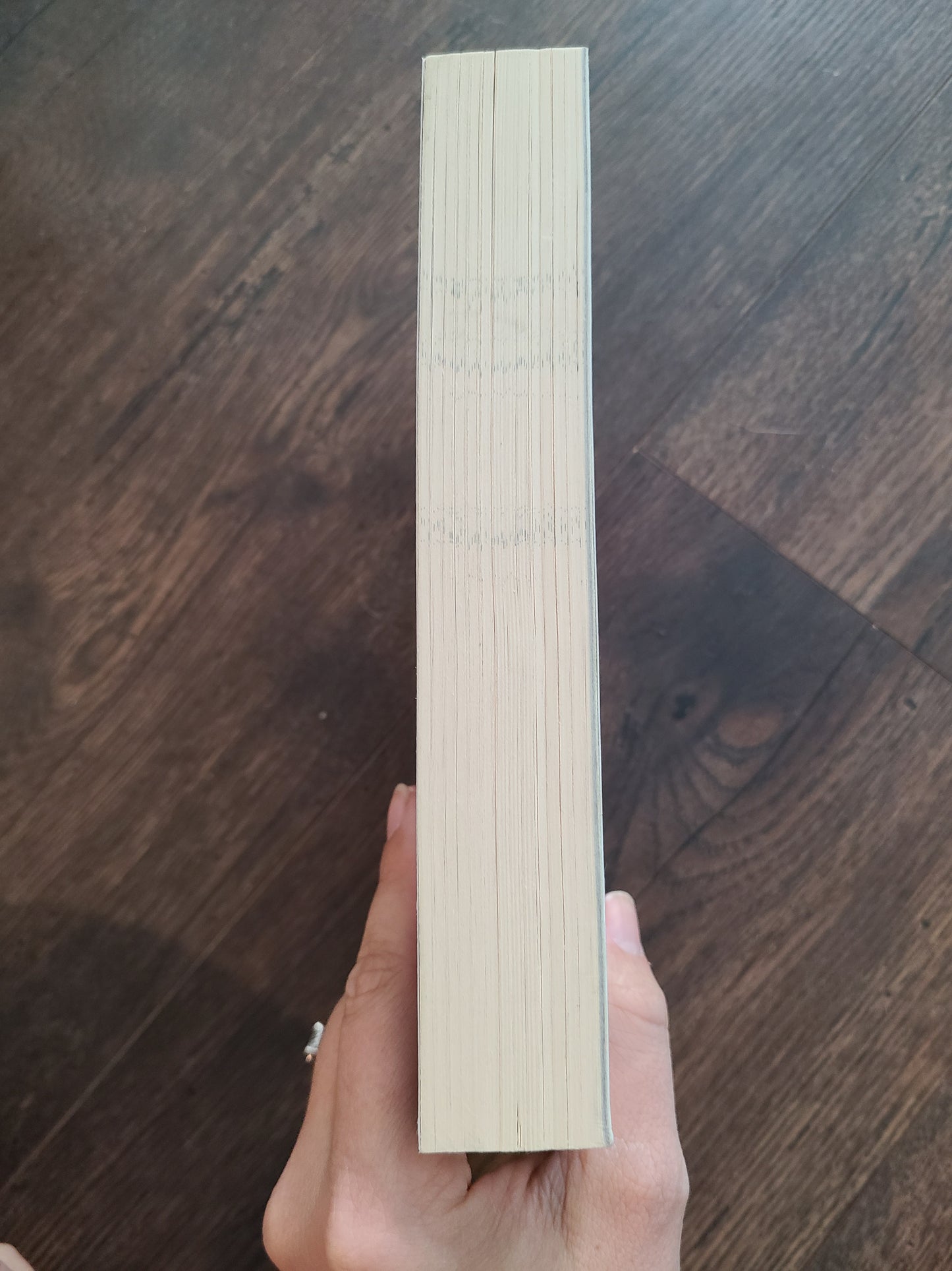 OOP A Court of Thorns and Roses Paperback by Sarah J Maas