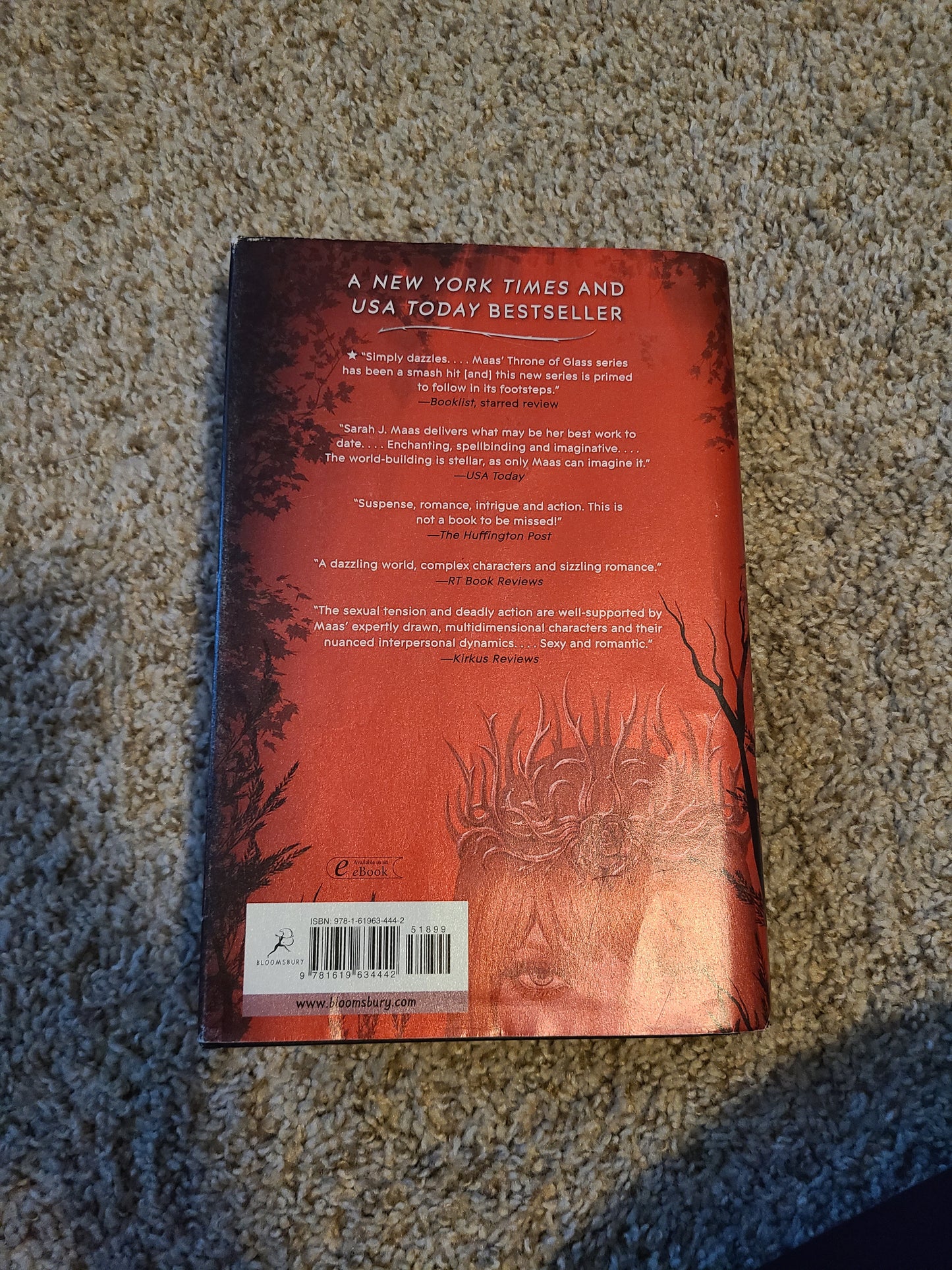 OOP A Court of Thornes and Roses by Sarah J Maas