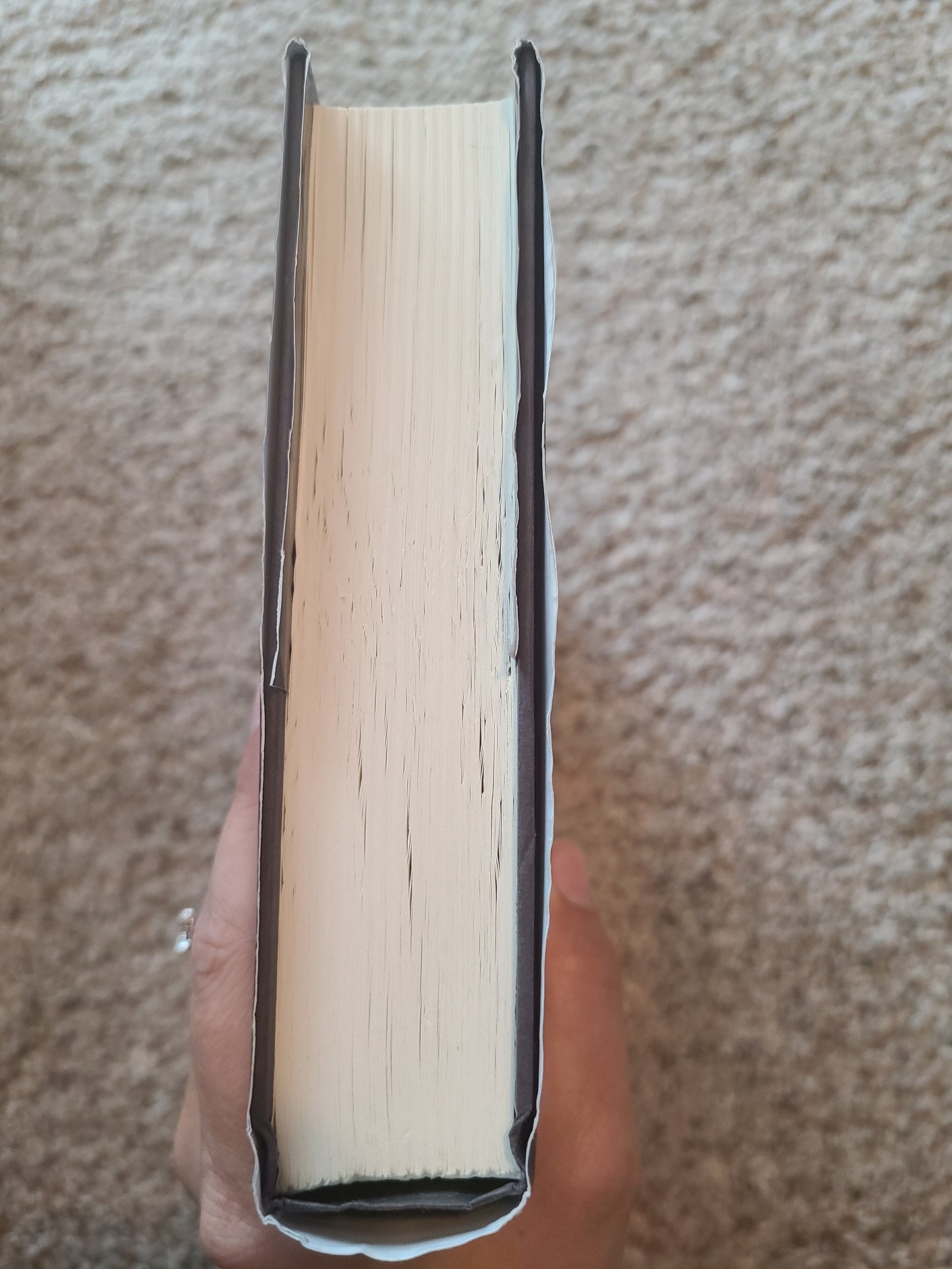 1st Edition The Dead Zone by Stephen King